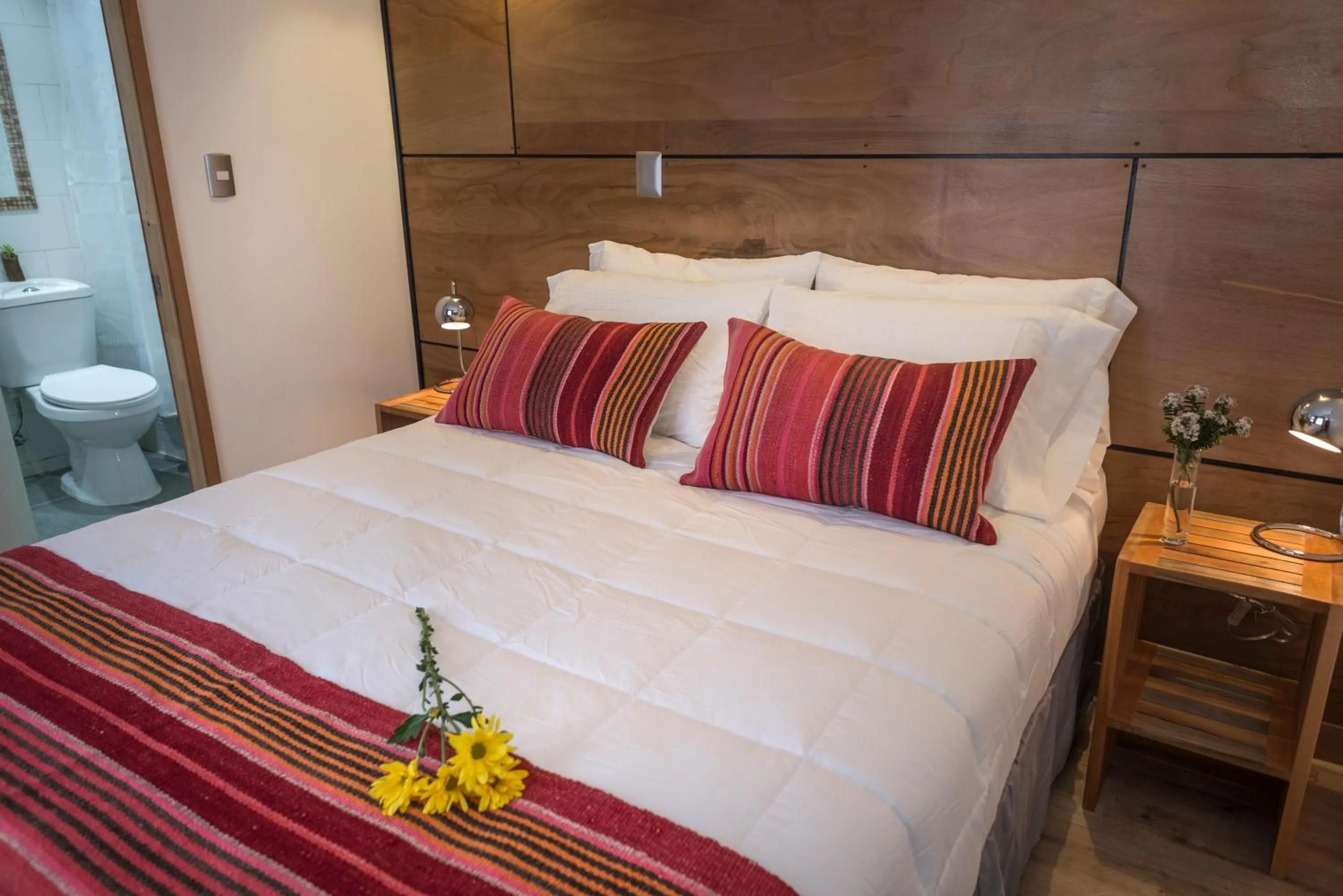 Double Room in Hotel Angelmontt