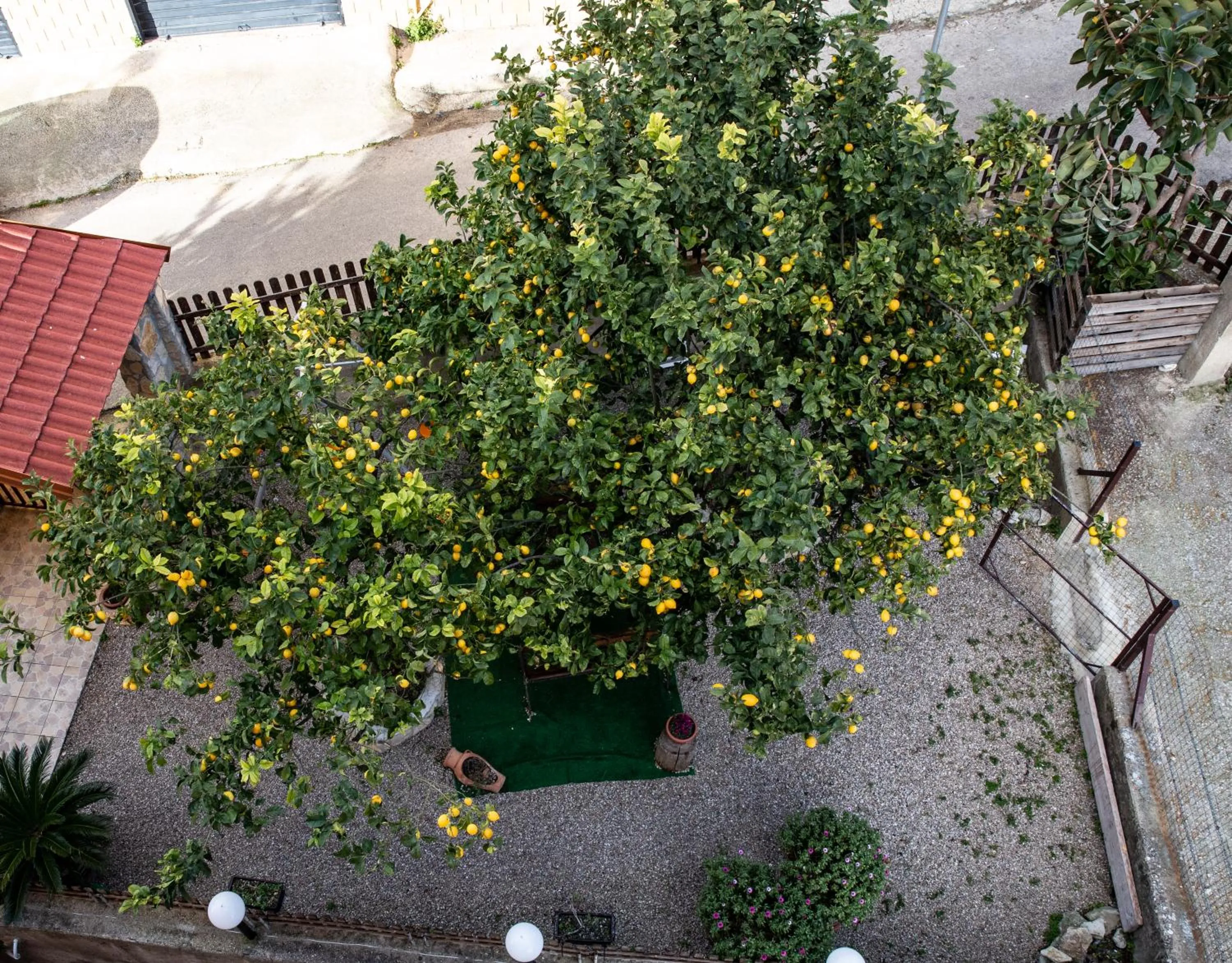 Garden in Chic & Beauty