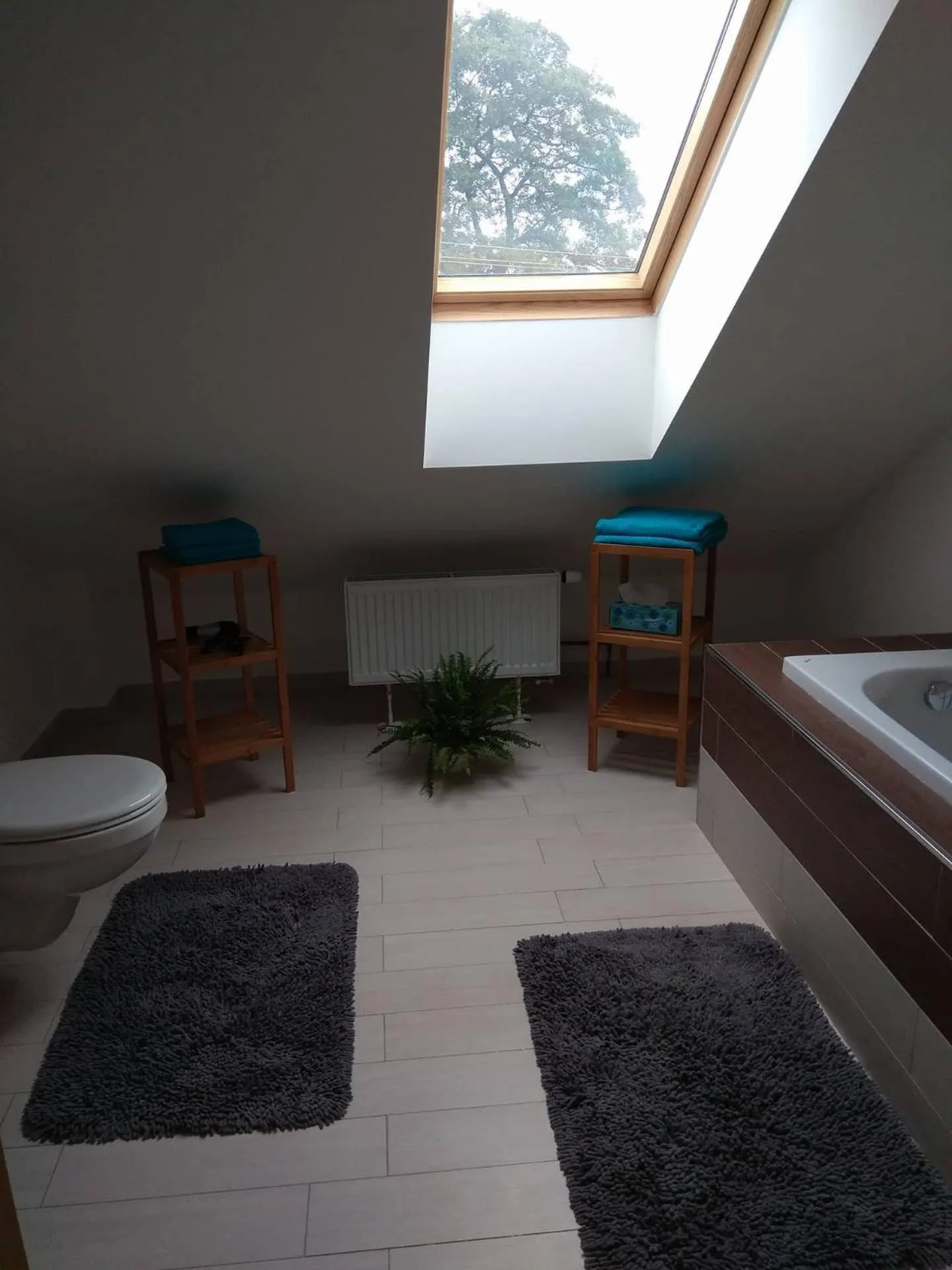 apartmány pod lesem