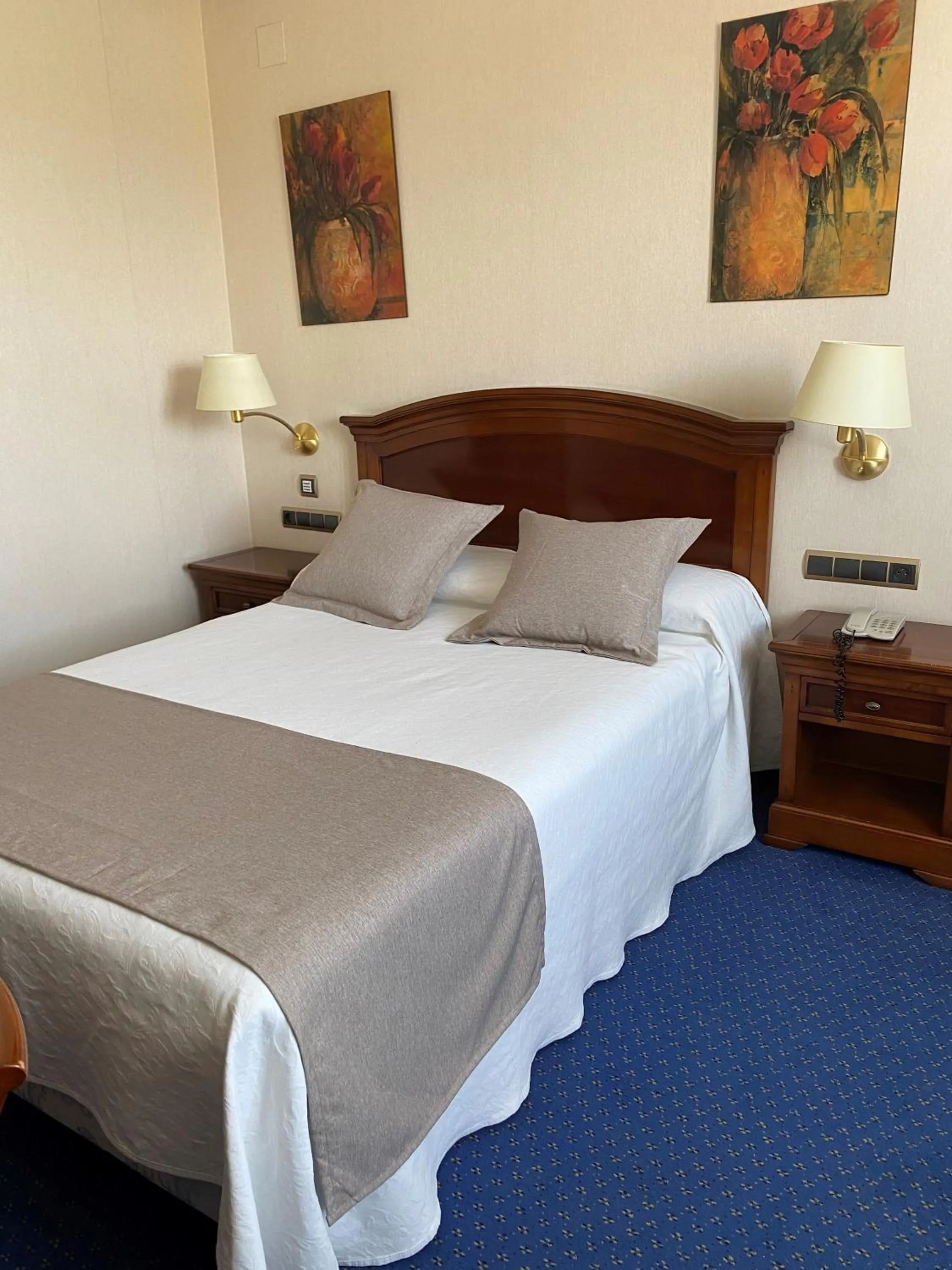 Bed in Hotel Villa De Almazan