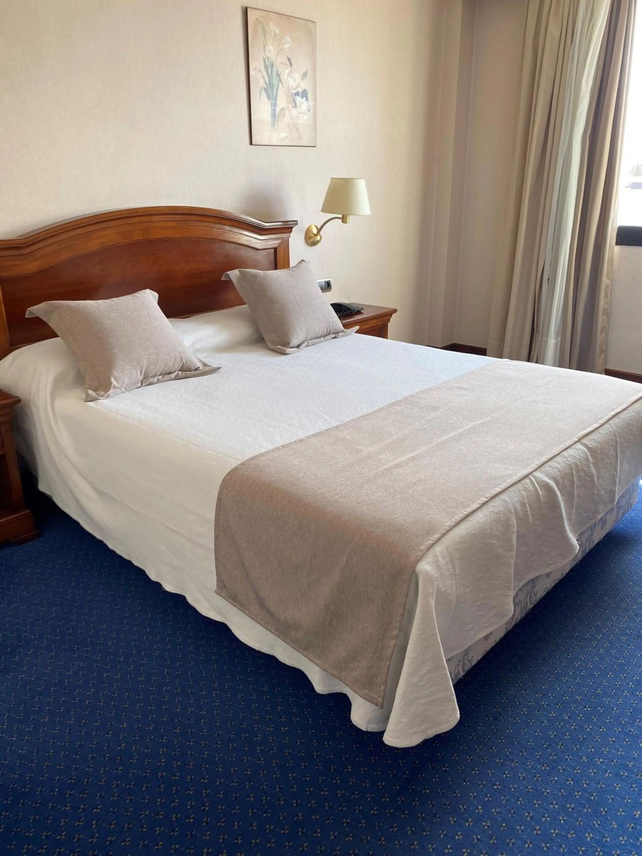 Bed in Hotel Villa De Almazan
