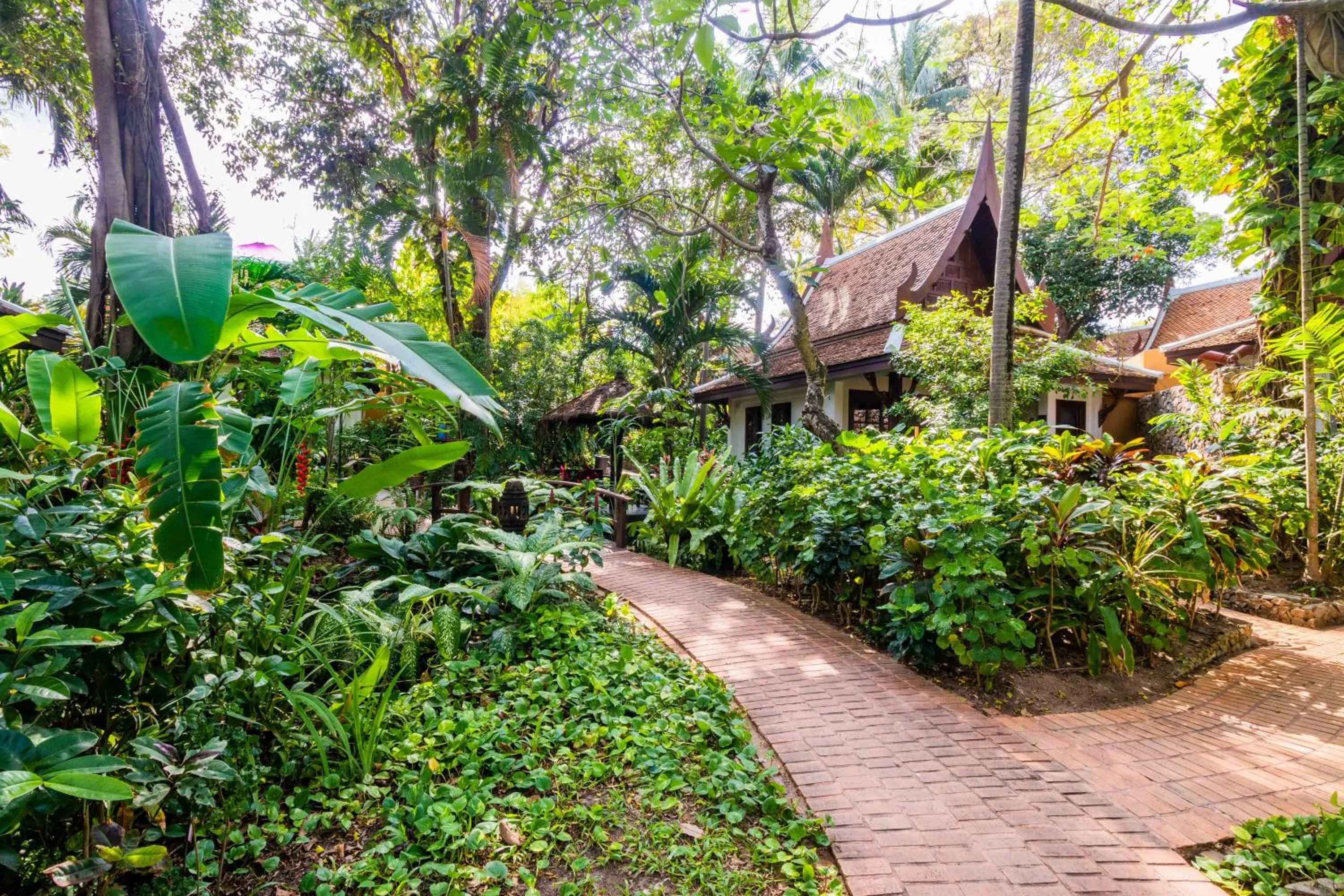 Garden in Anavana Beach Resort