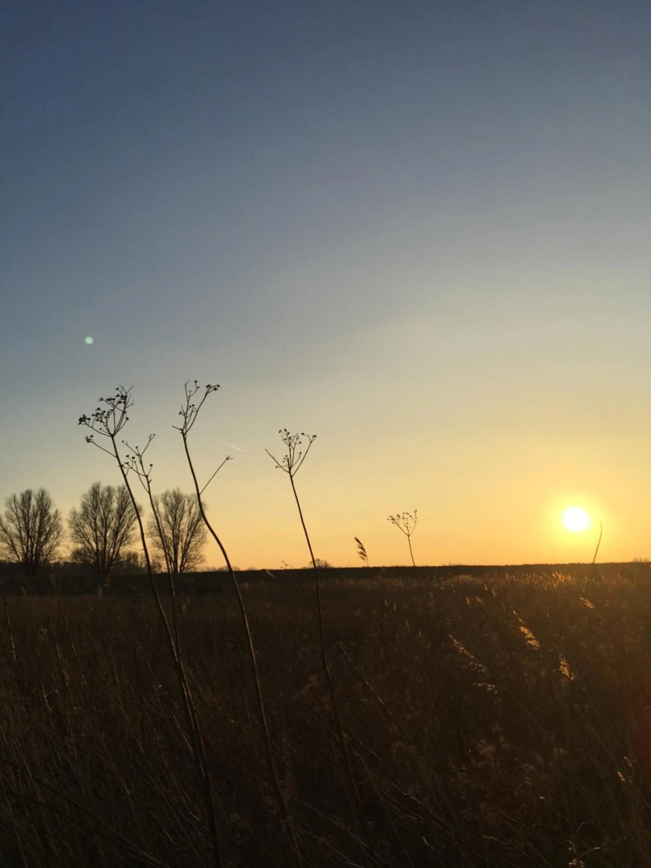 Natural landscape in Das Ostseehotel