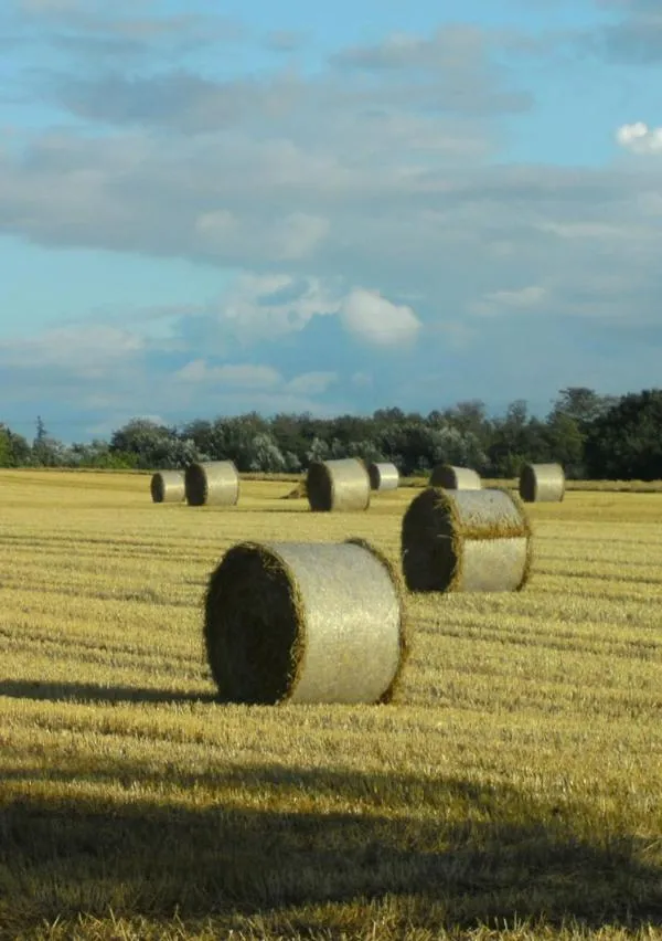 Natural landscape in Hotel Seelust