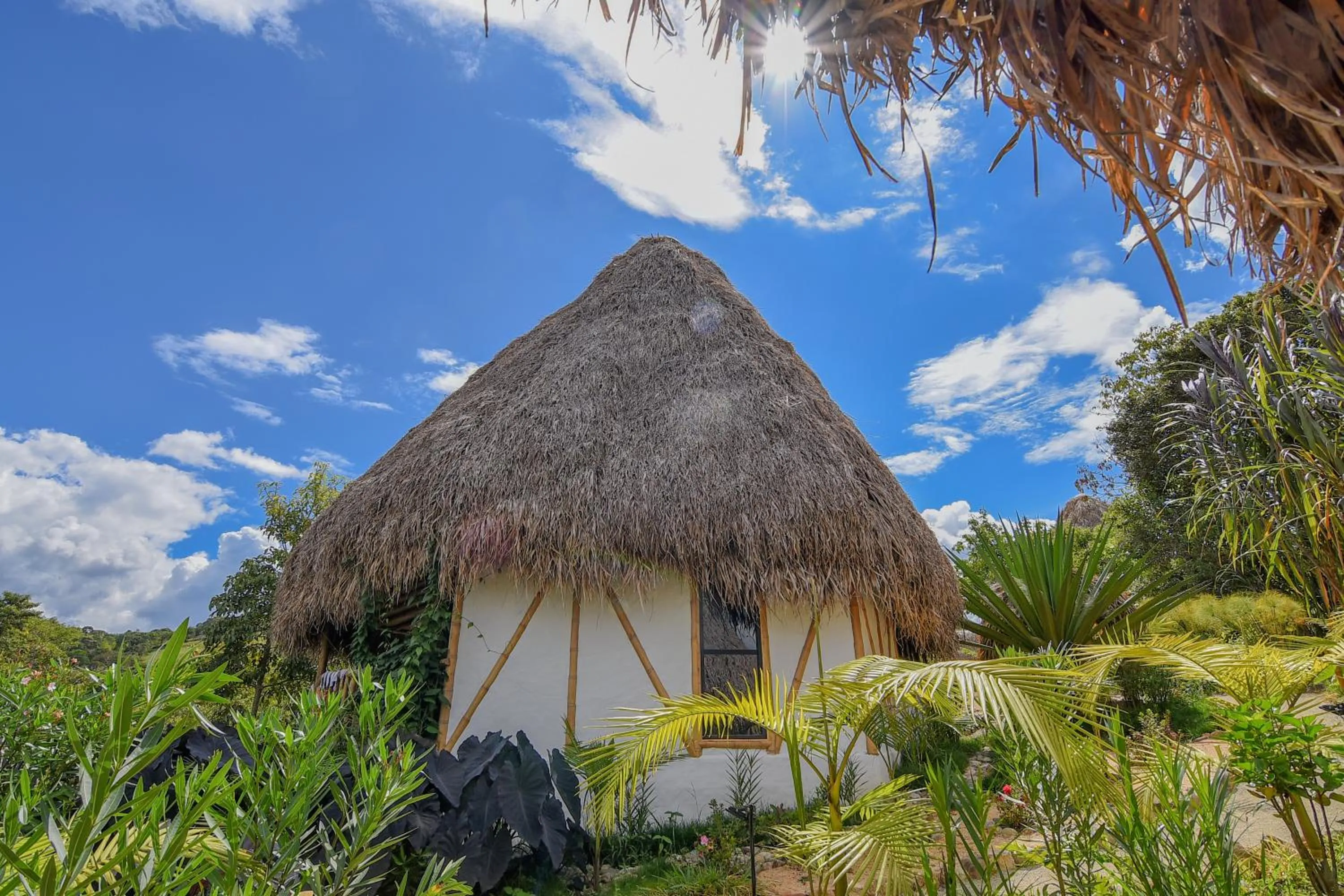 Property building in Ceiba by Masaya Collection