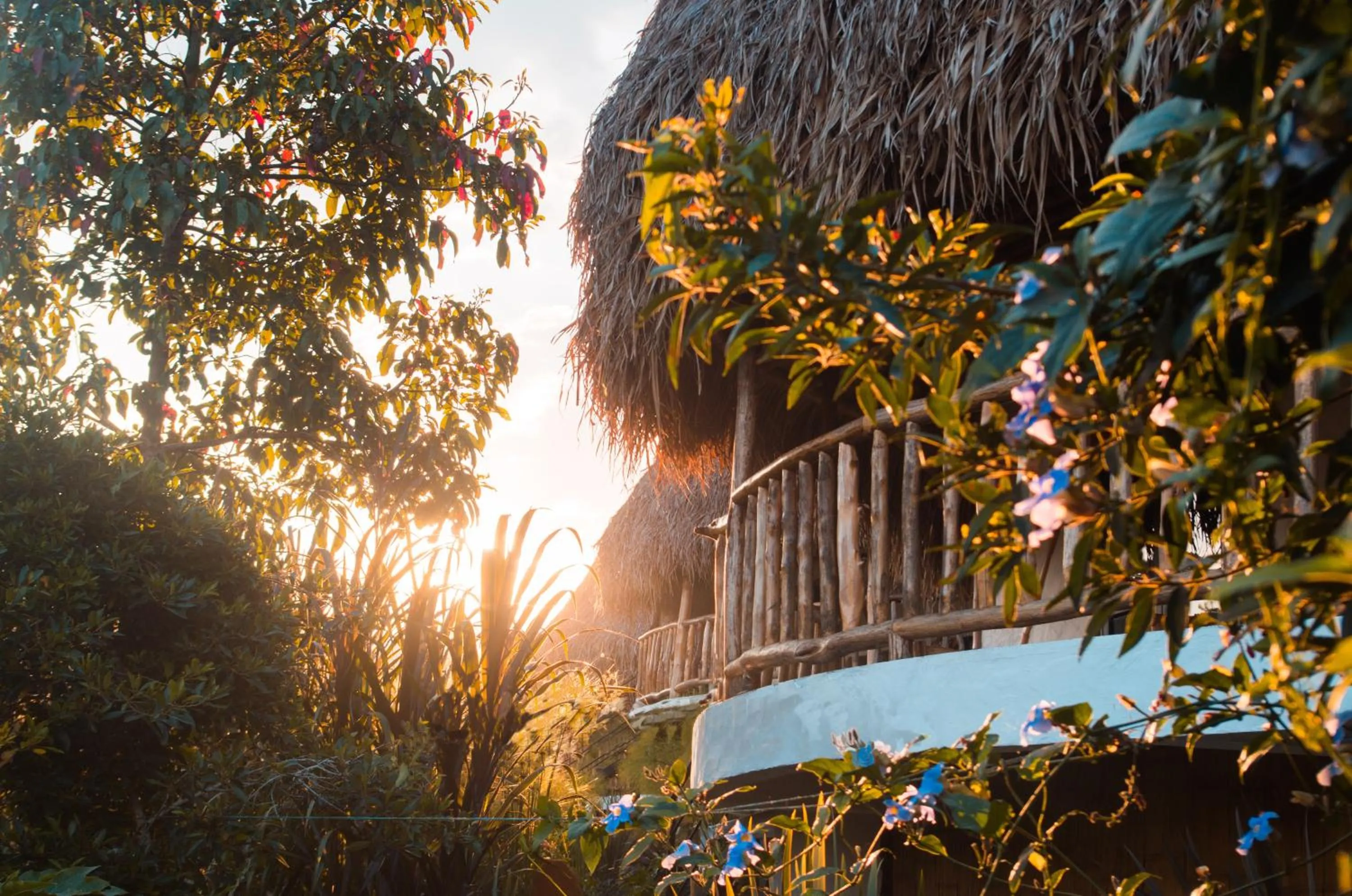 Natural landscape in Ceiba by Masaya Collection