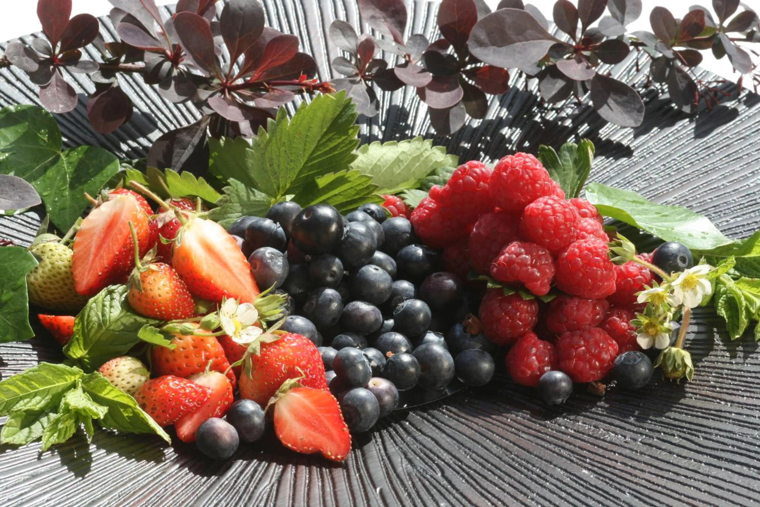 Food close-up in l'Hotellerie Kouros