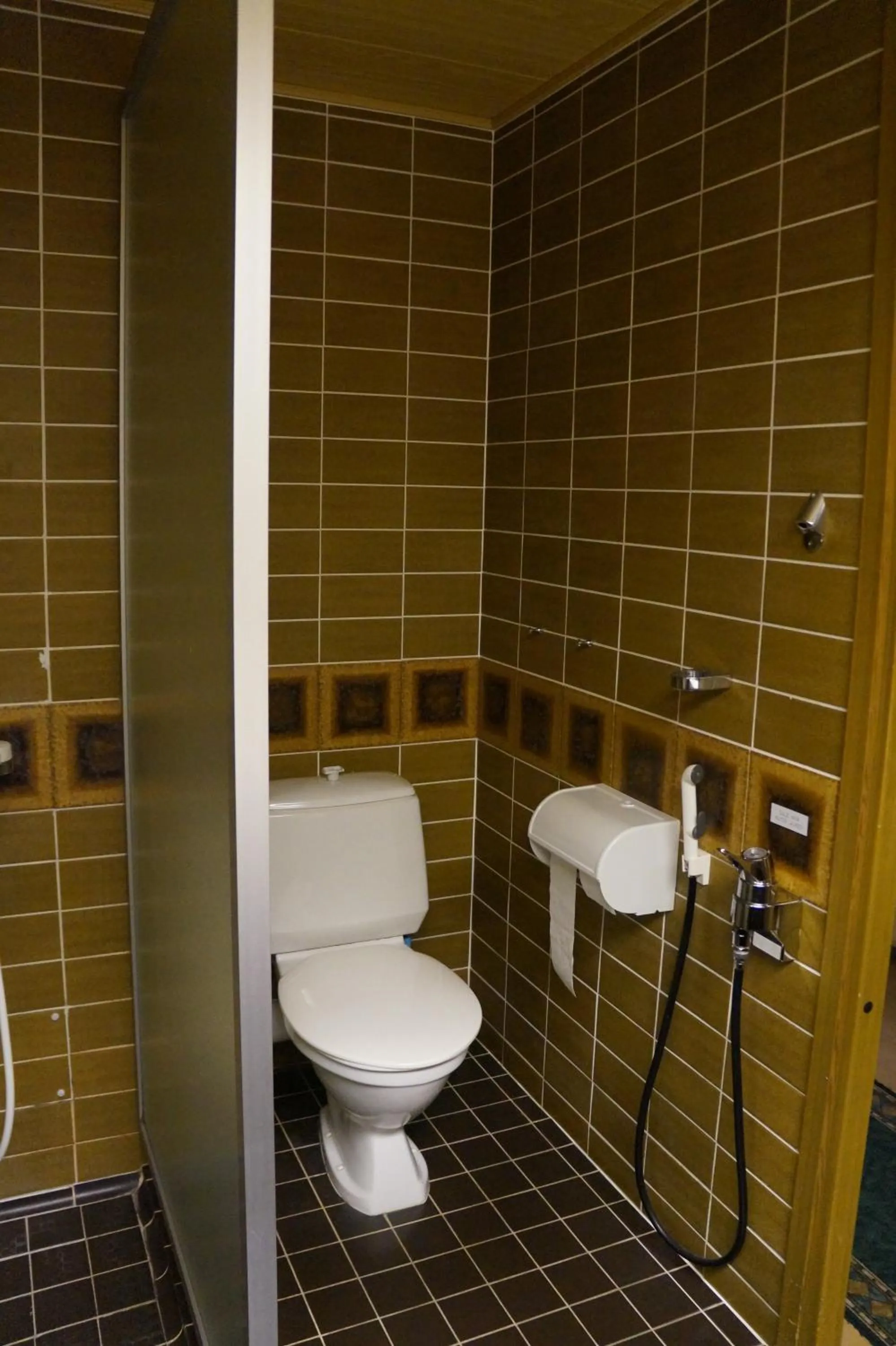 Toilet in Hotel Tulikettu