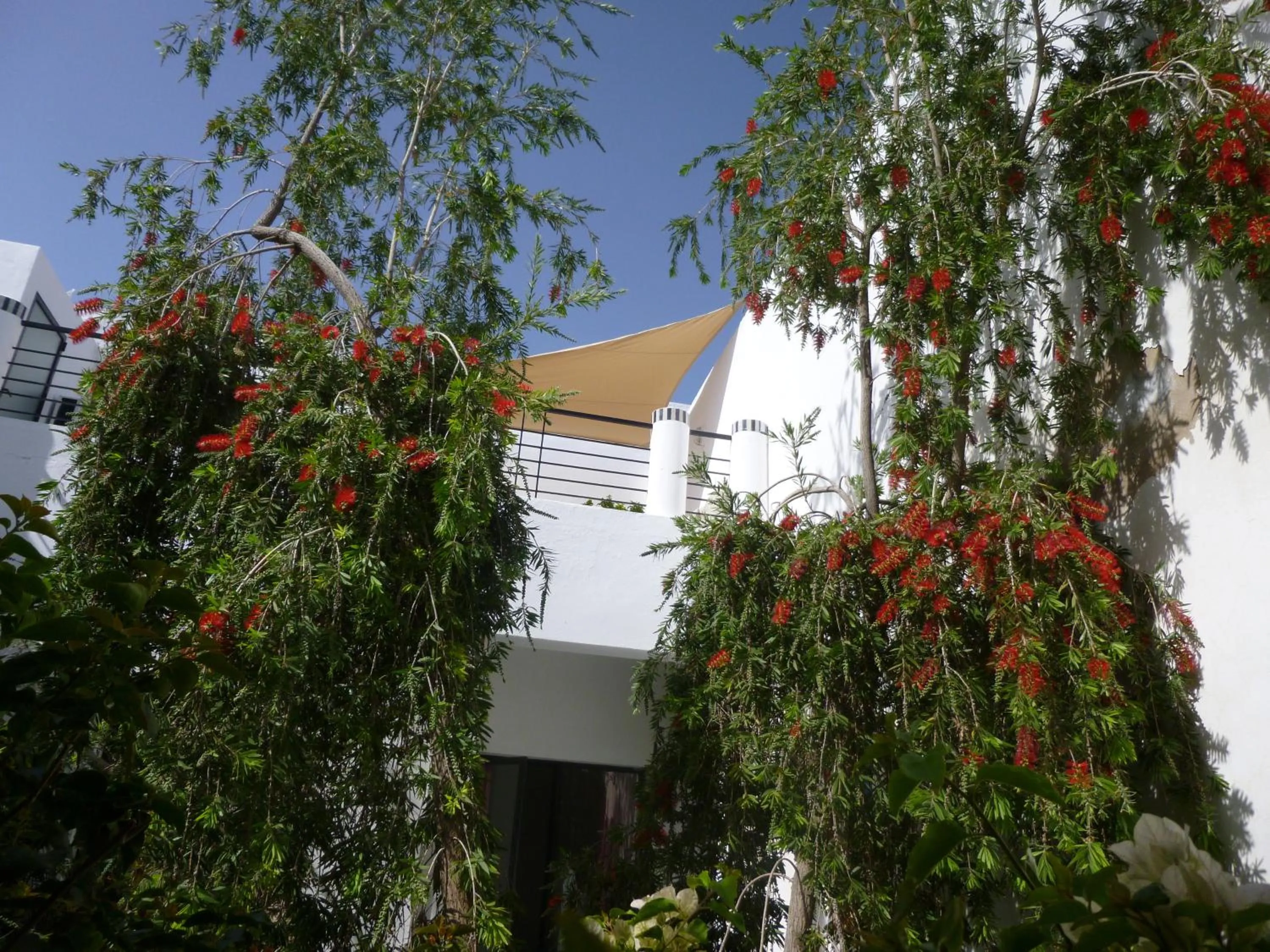 View (from property/room) in Riad Tchina