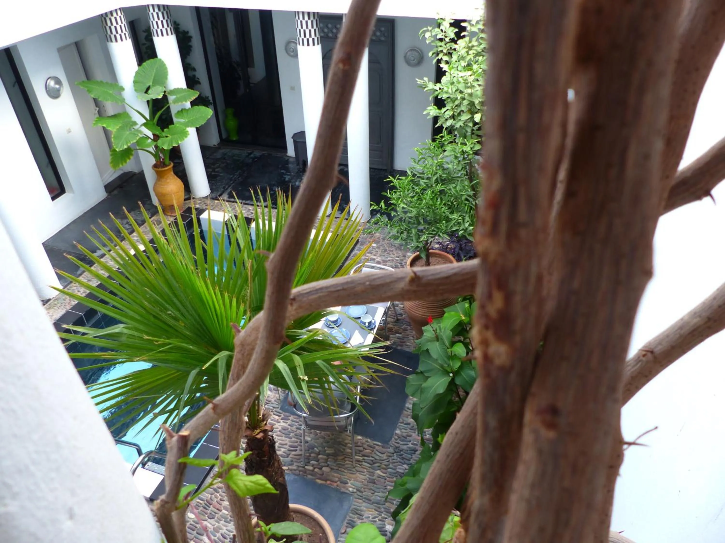 Garden in Riad Tchina