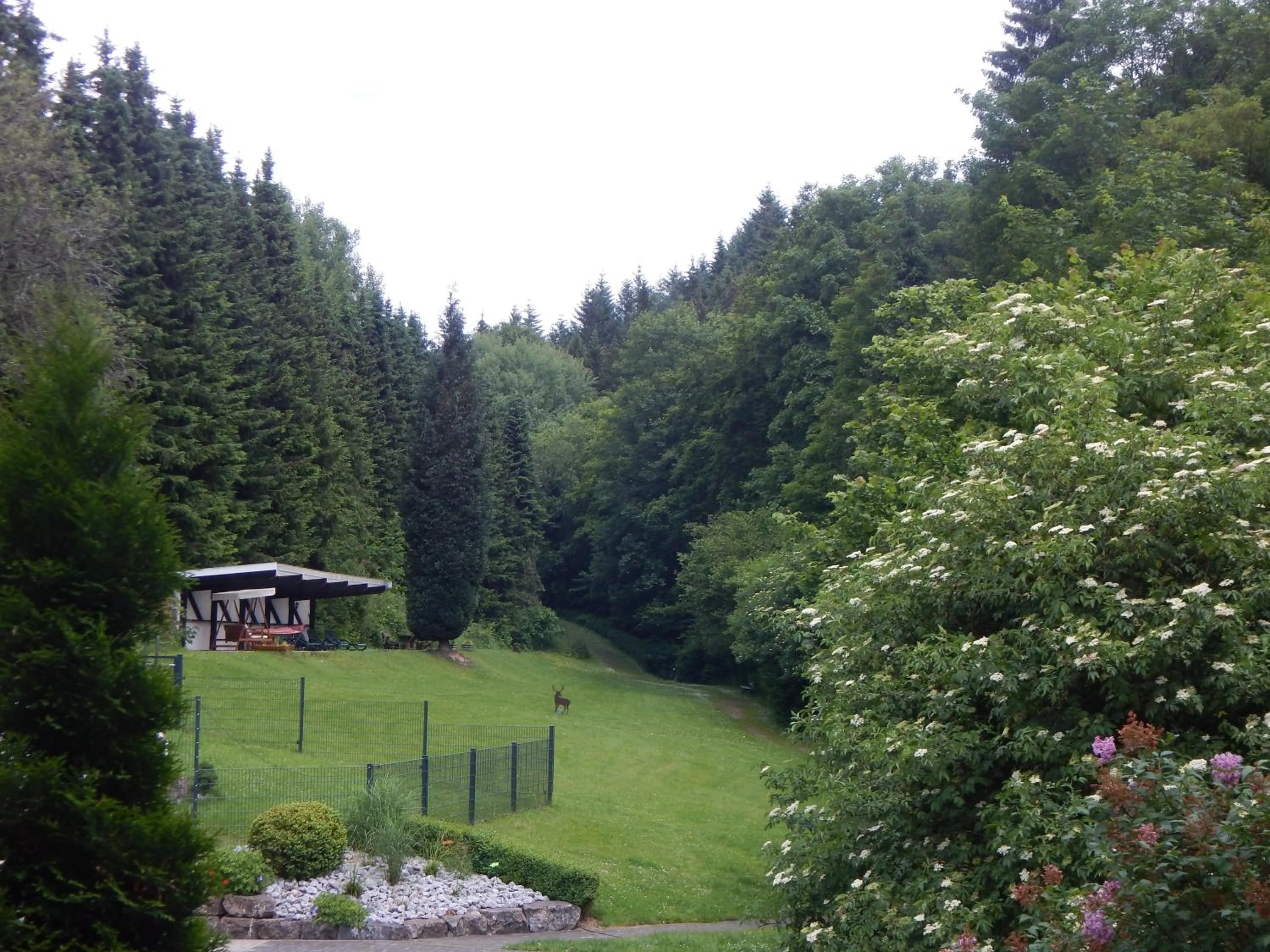 Garden view in Hotel & Gasthof Hubertushöhe - Ihr Hotel für Urlaub mit Hund