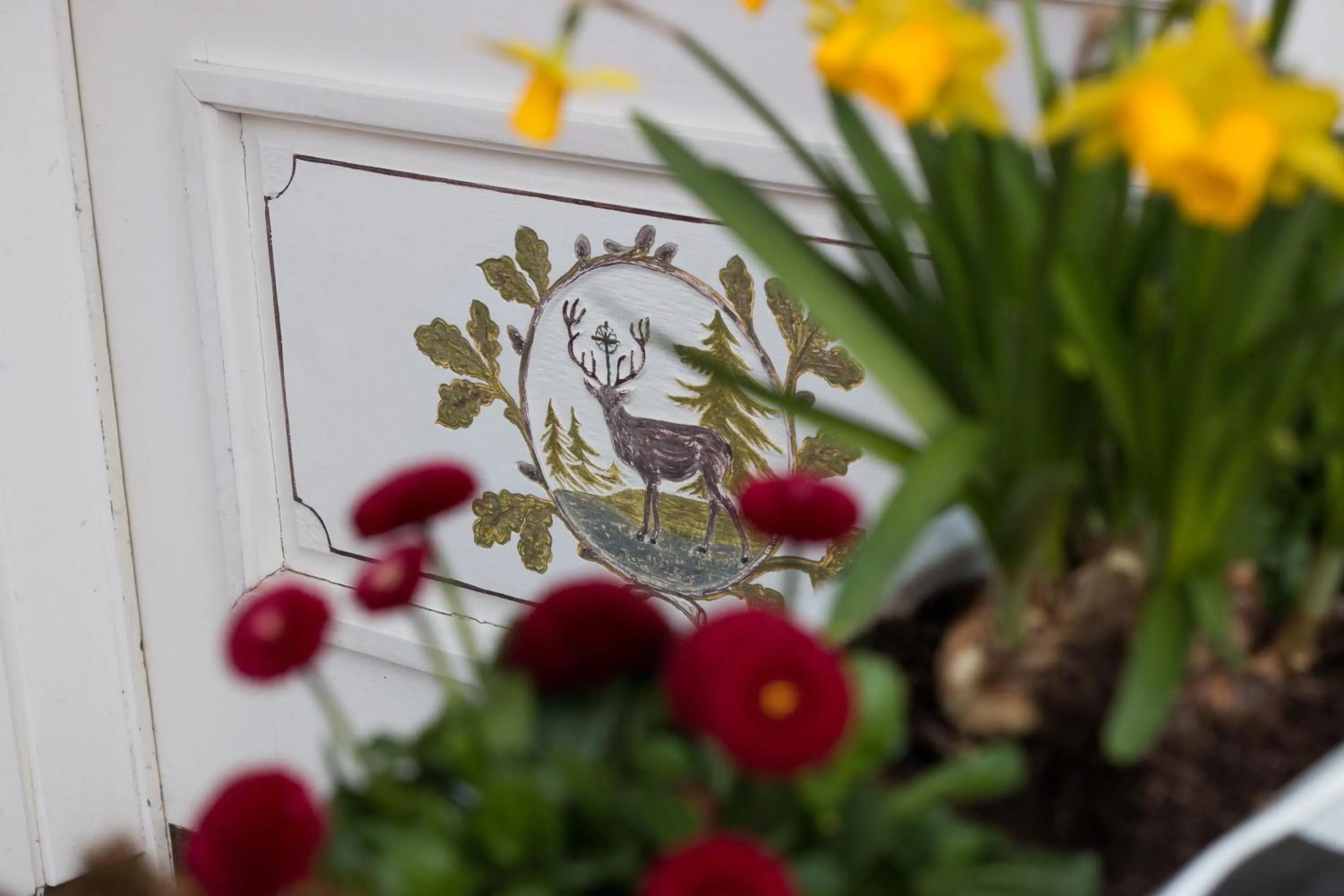 Facade/entrance in Hotel & Gasthof Hubertushöhe - Ihr Hotel für Urlaub mit Hund