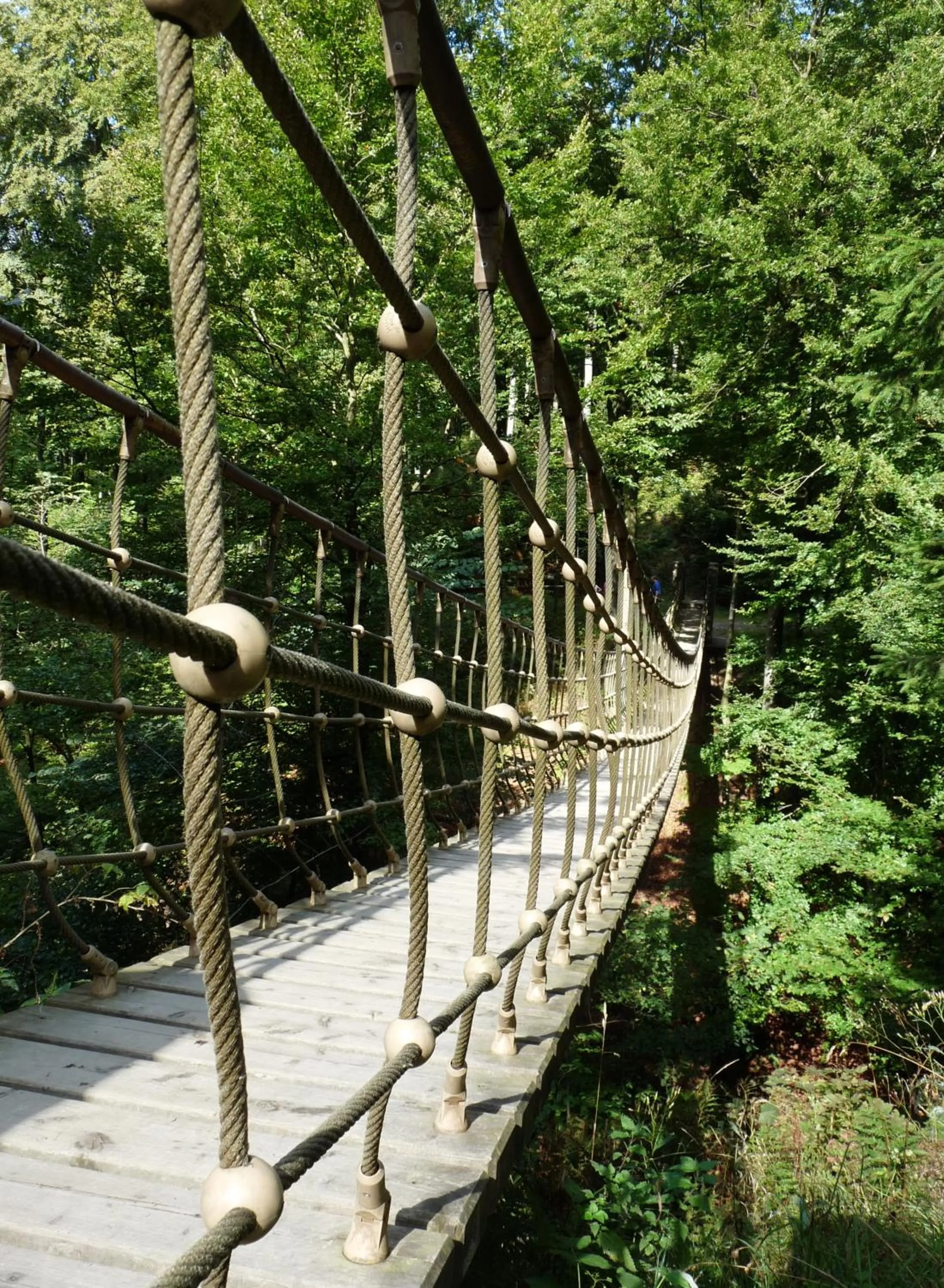Off site in Hotel & Gasthof Hubertushöhe - Ihr Hotel für Urlaub mit Hund