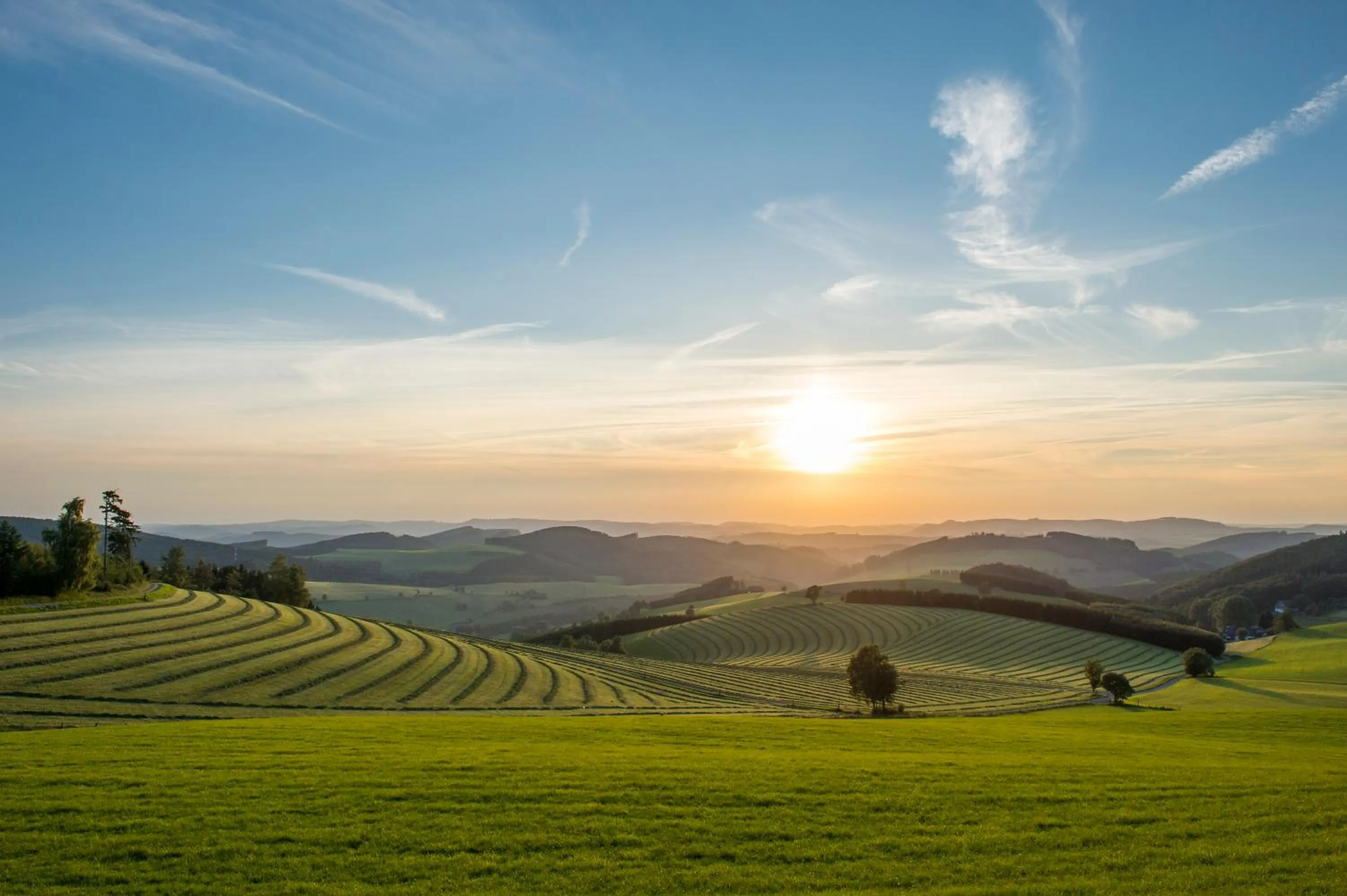 Natural landscape in Hotel & Gasthof Hubertushöhe - Ihr Hotel für Urlaub mit Hund