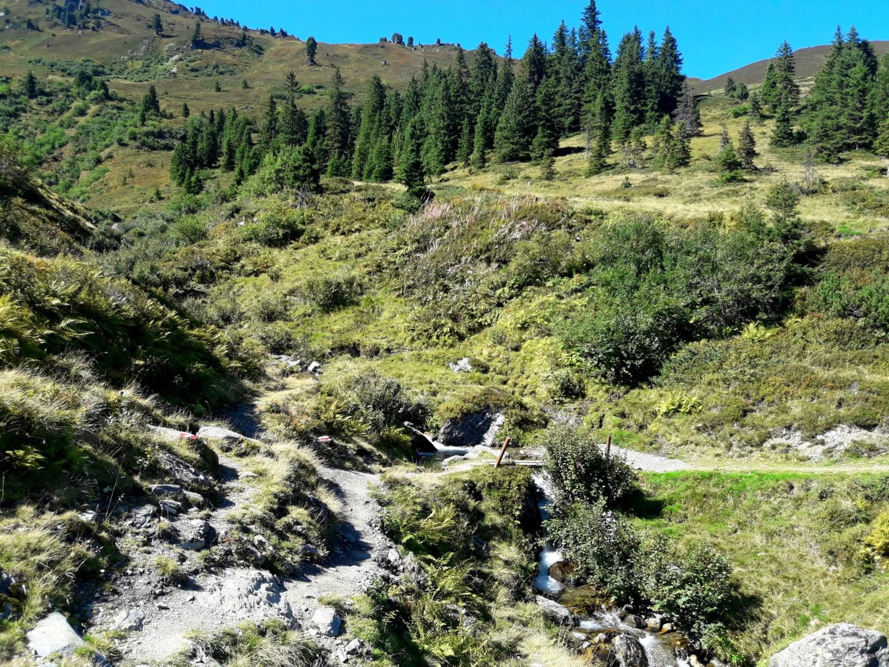 Property building in Berghotel Hochfügen