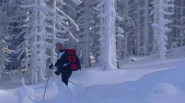 Area and facilities in Hotel Gasthof Brüggler