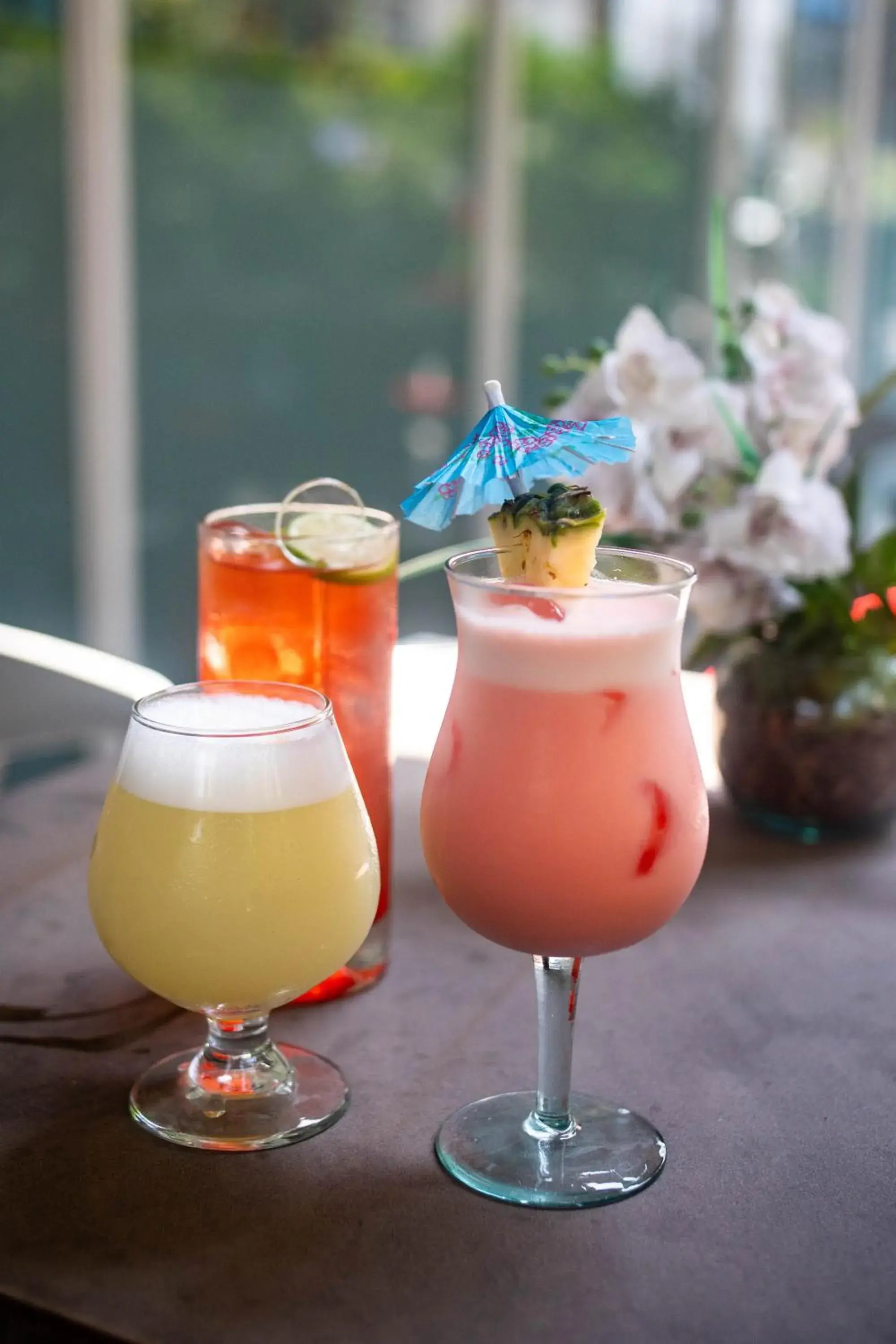 Lounge or bar in San Agustin Exclusive Lounge or bar in San Agustin Exclusive