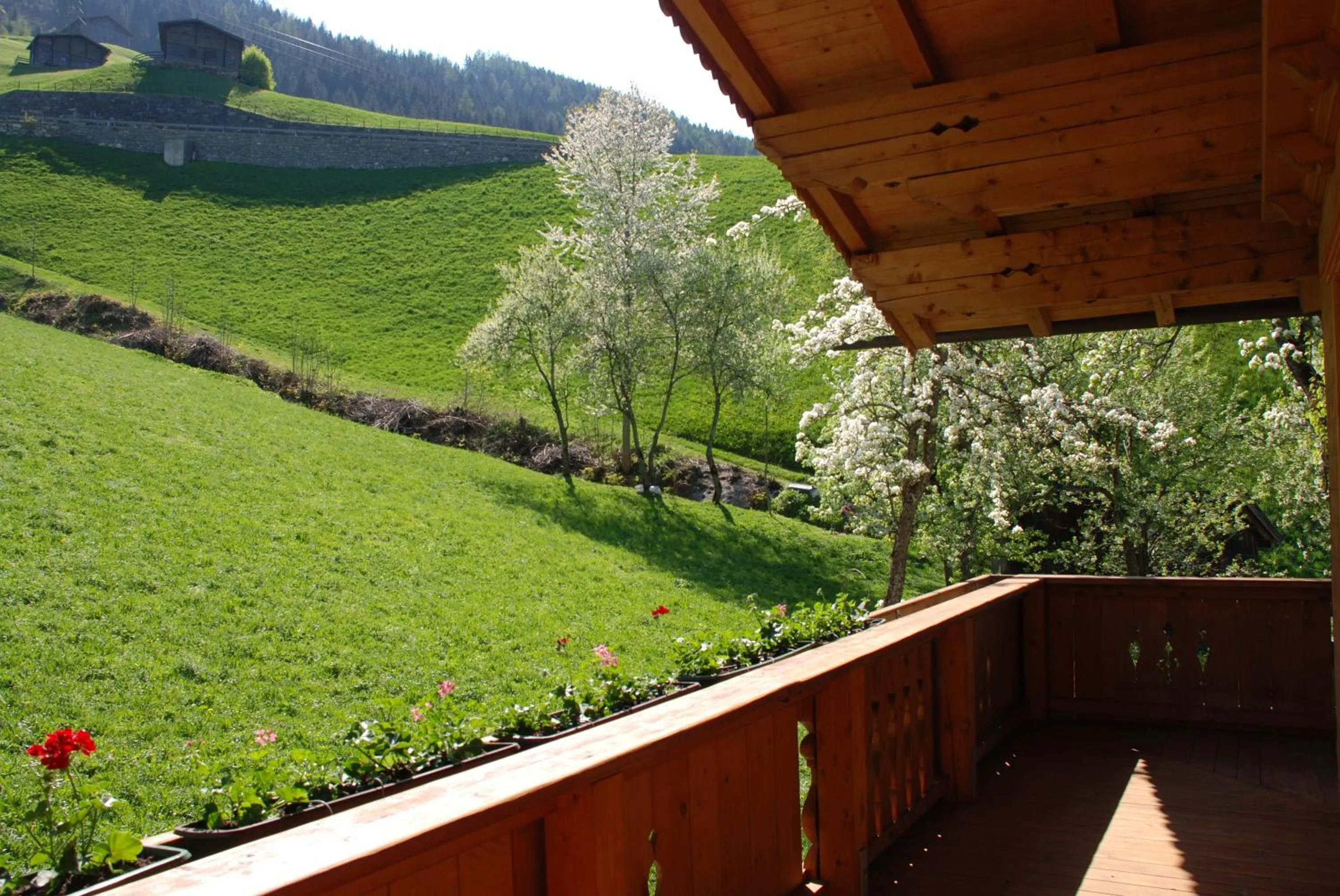 Blaserhof Hainzenberg