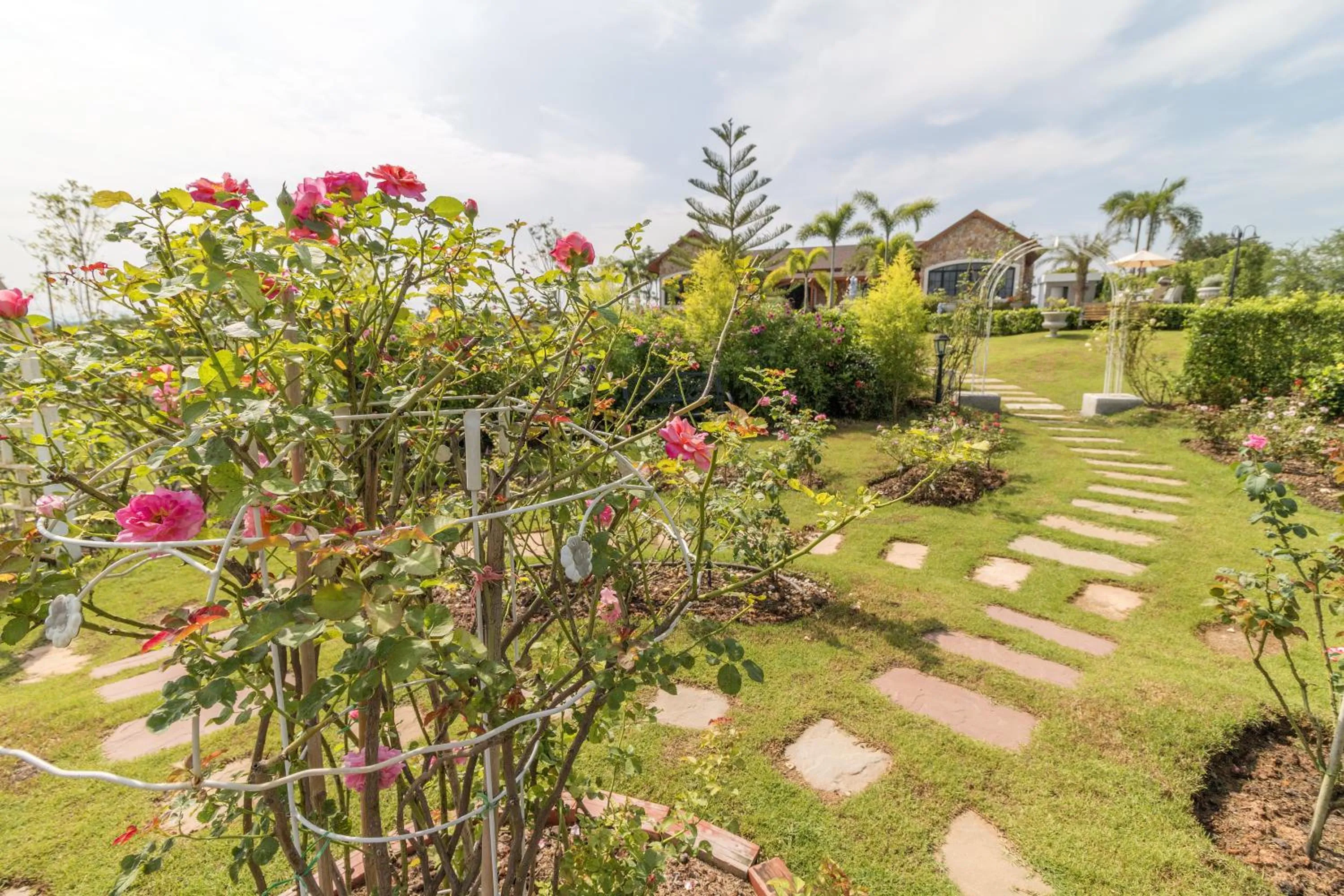 Garden in Chateau de Prim Khao Yai