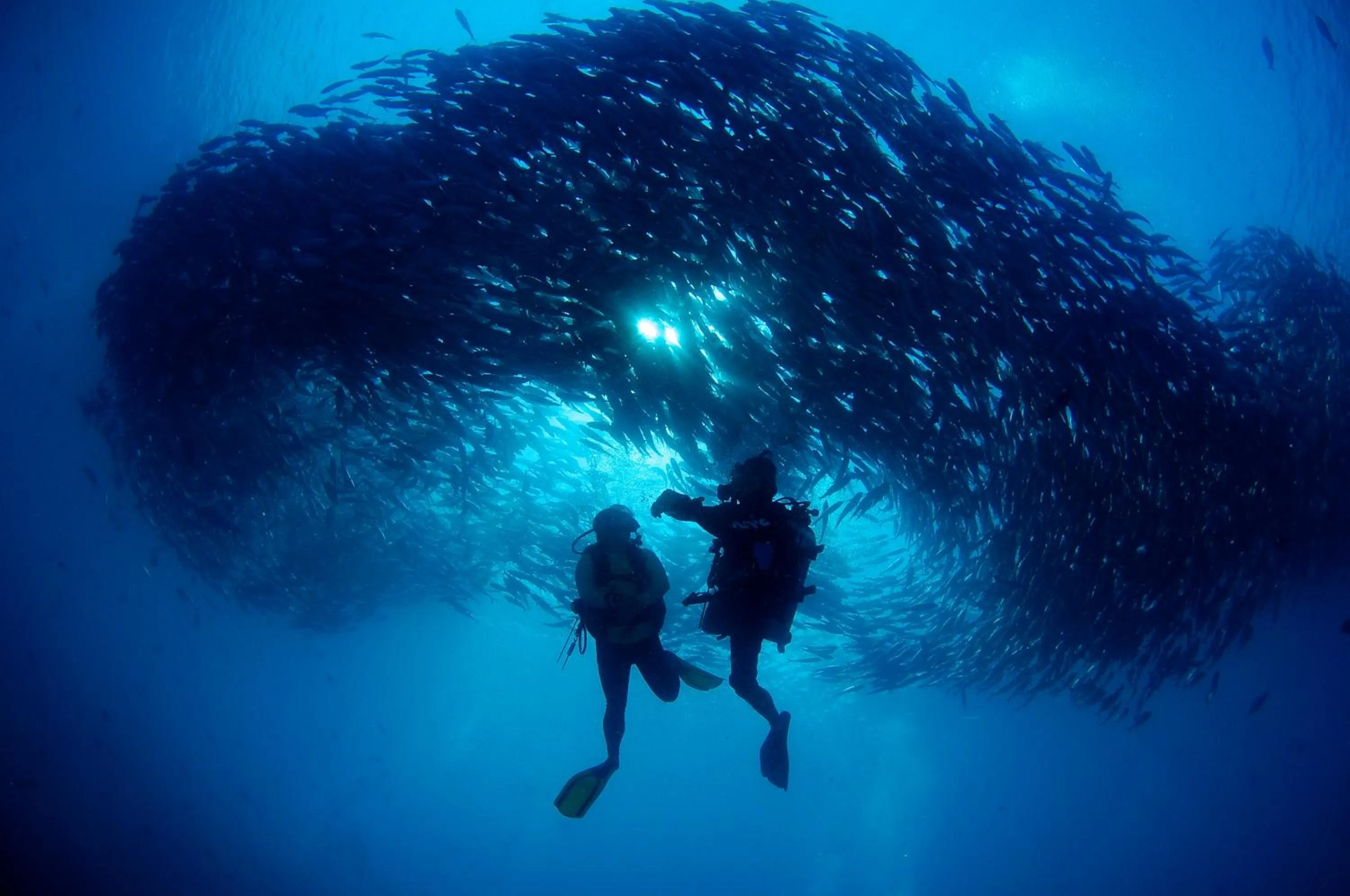 Borneo Divers Mabul Resort