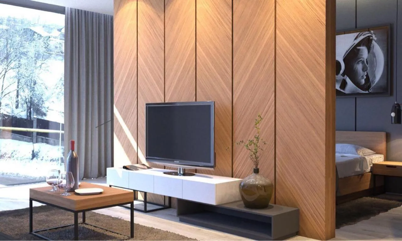 TV and multimedia in Eleven Hotel and Hall