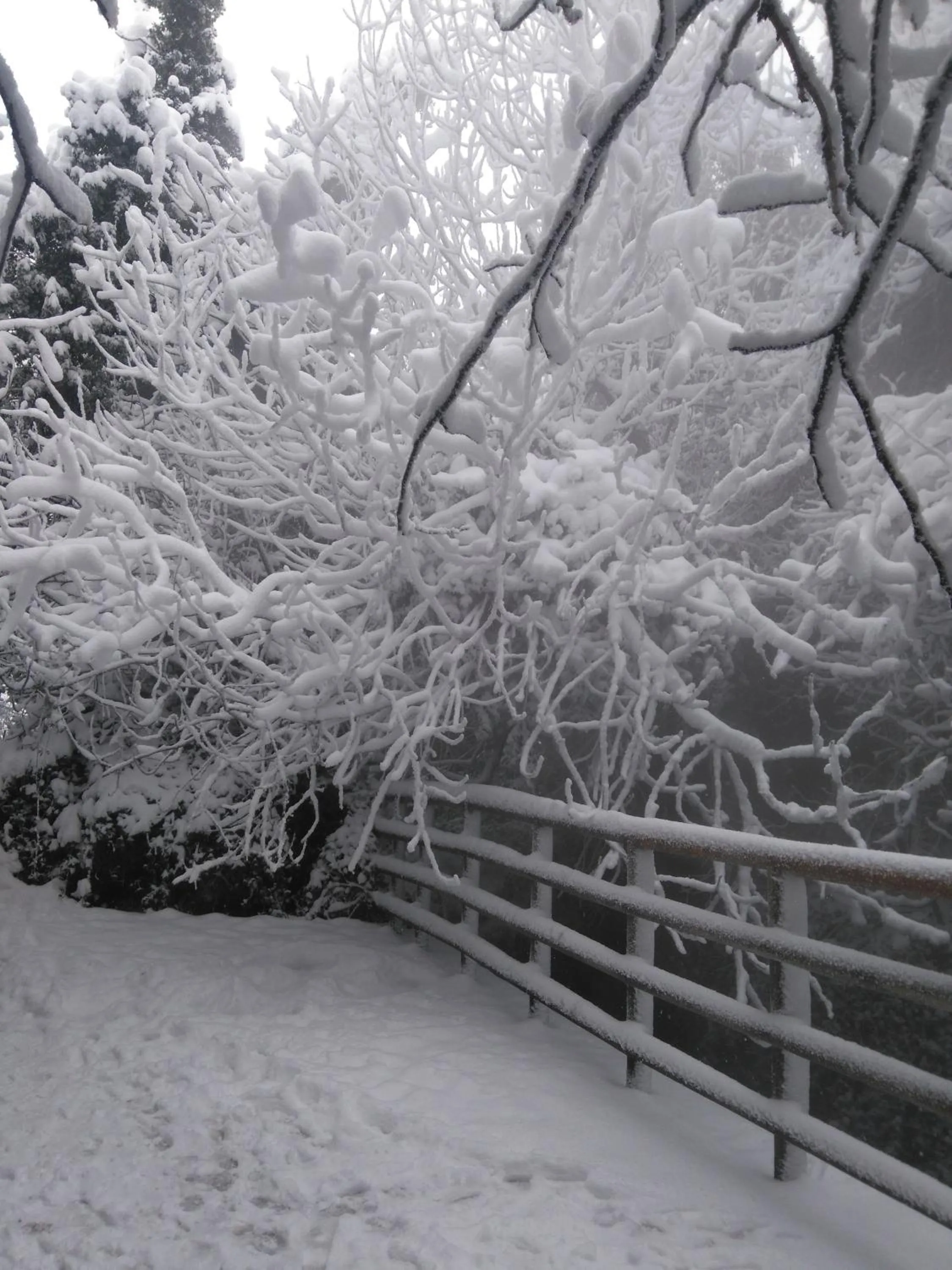 River view in Guesthouse Mavrodimos