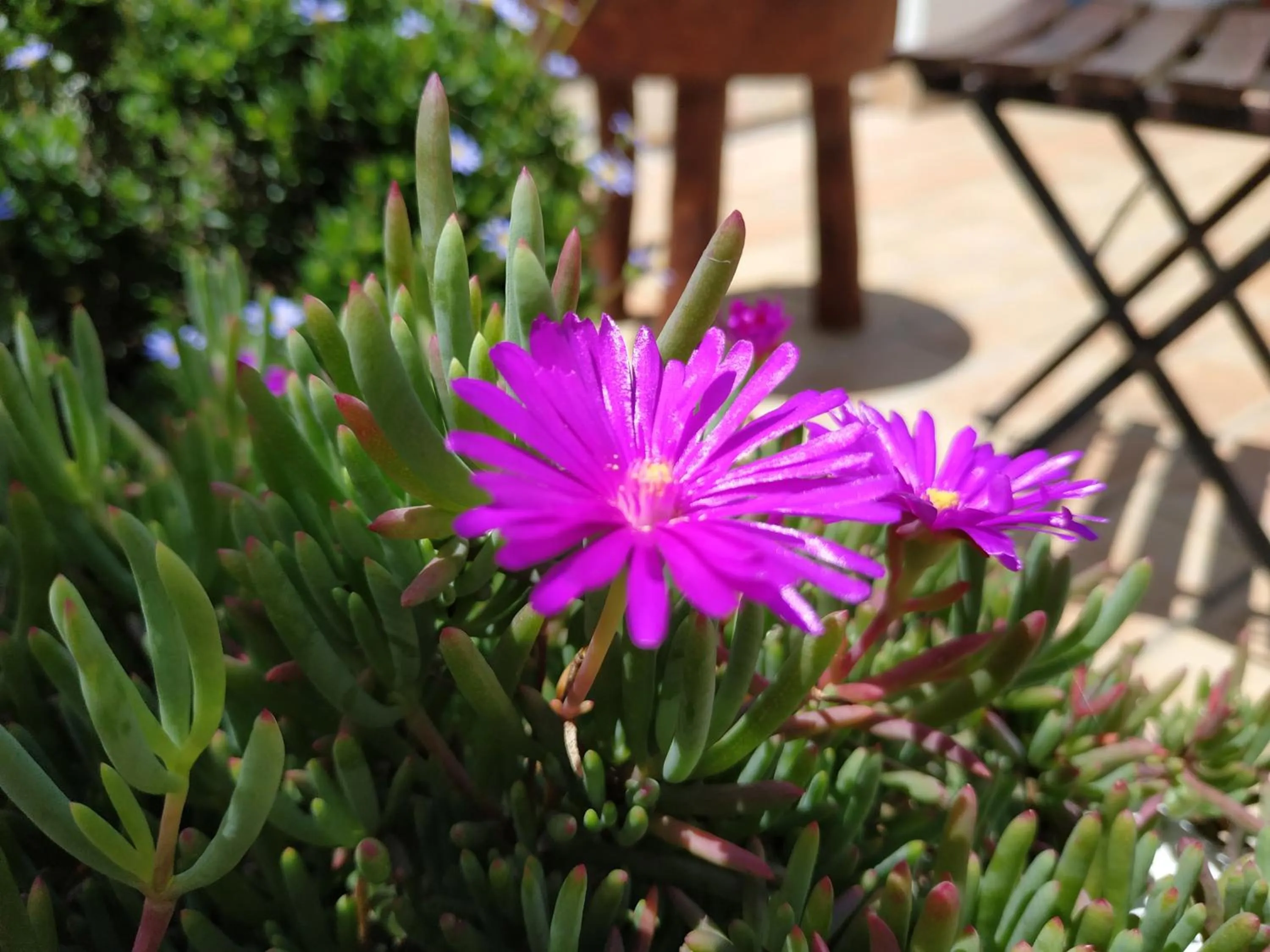 Balcony/Terrace in Casa Campana