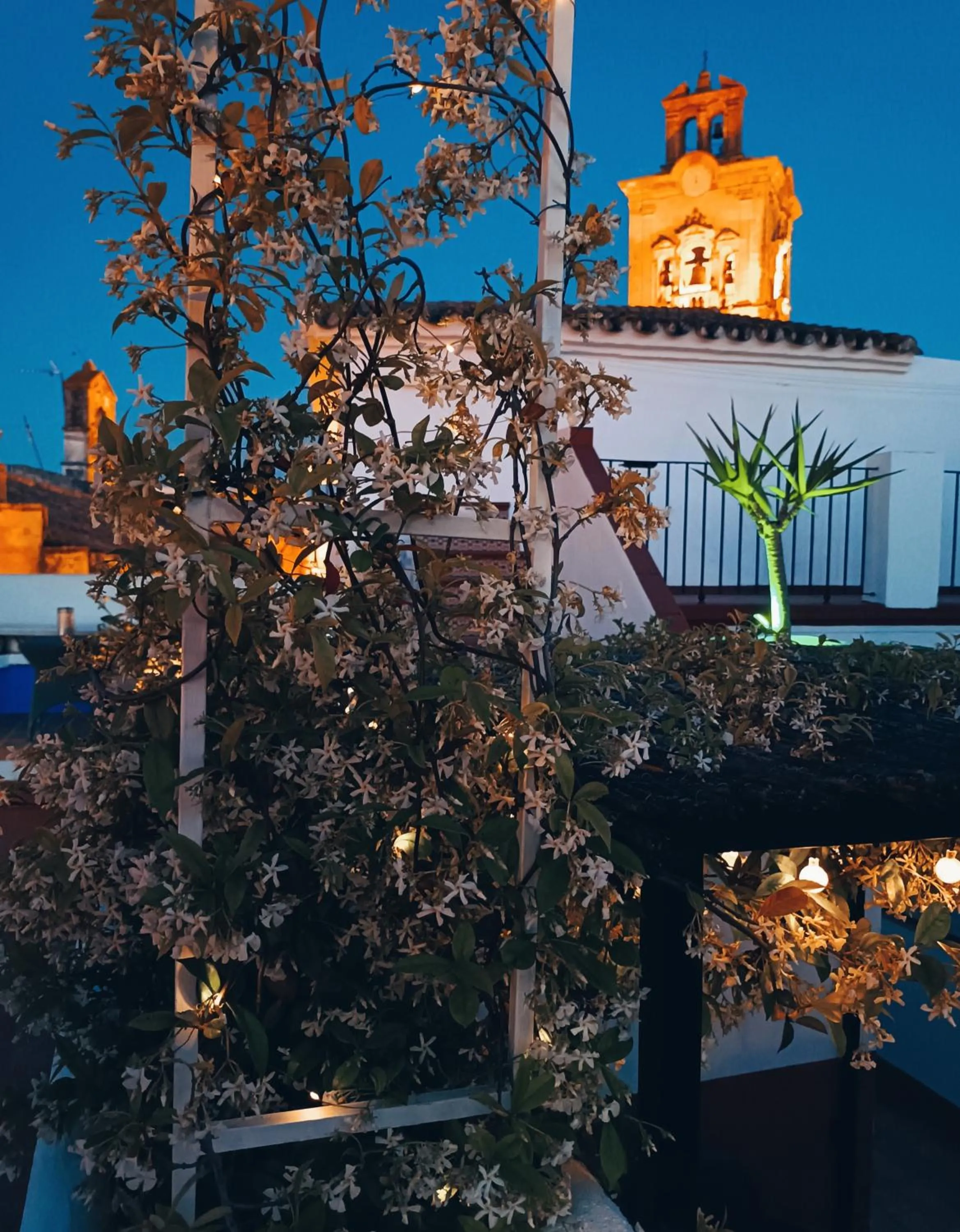 Property building in Casa Campana