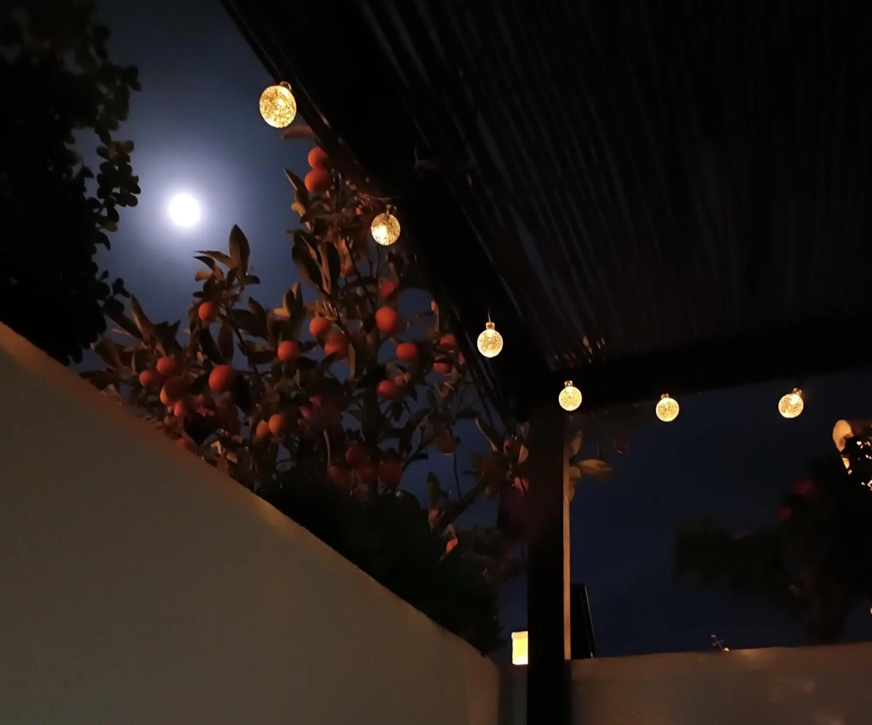 Night in Casa Campana