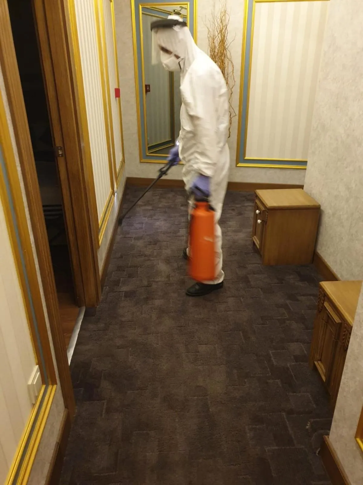 Other in Ahmet Efendi Konağı