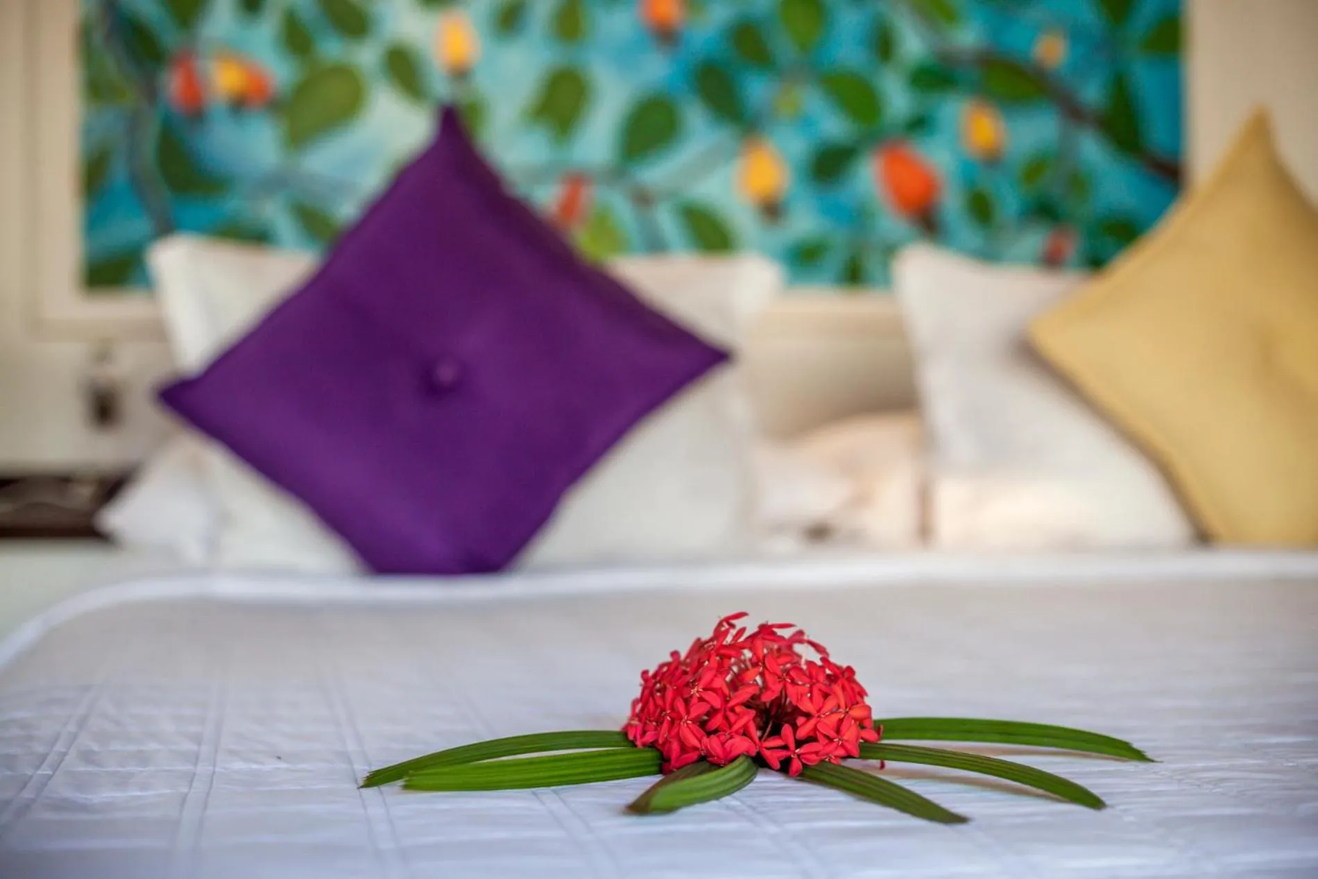 Bed in Sombra e Água Fresca Resort