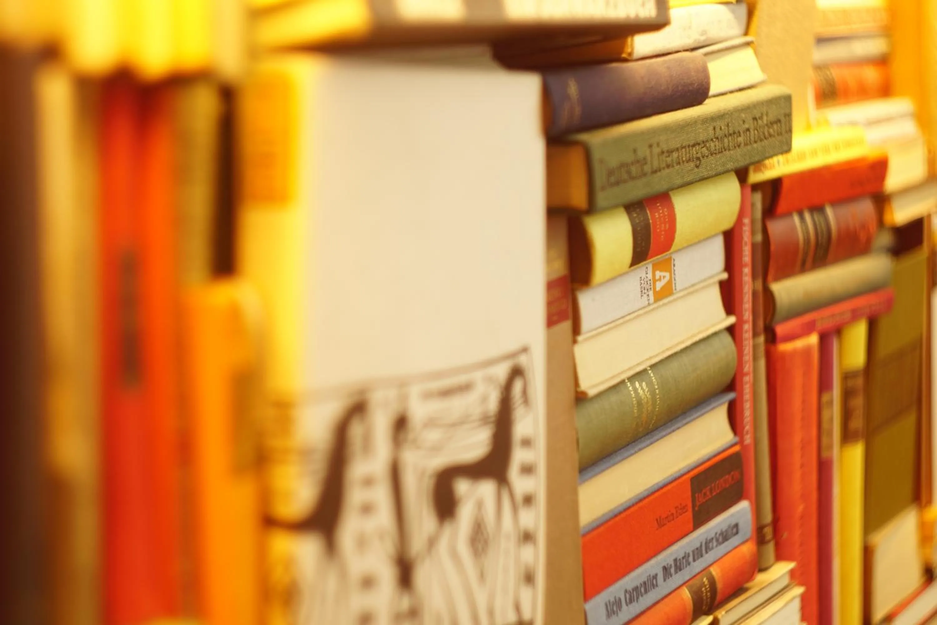 Library in Hotel Bett und Buch