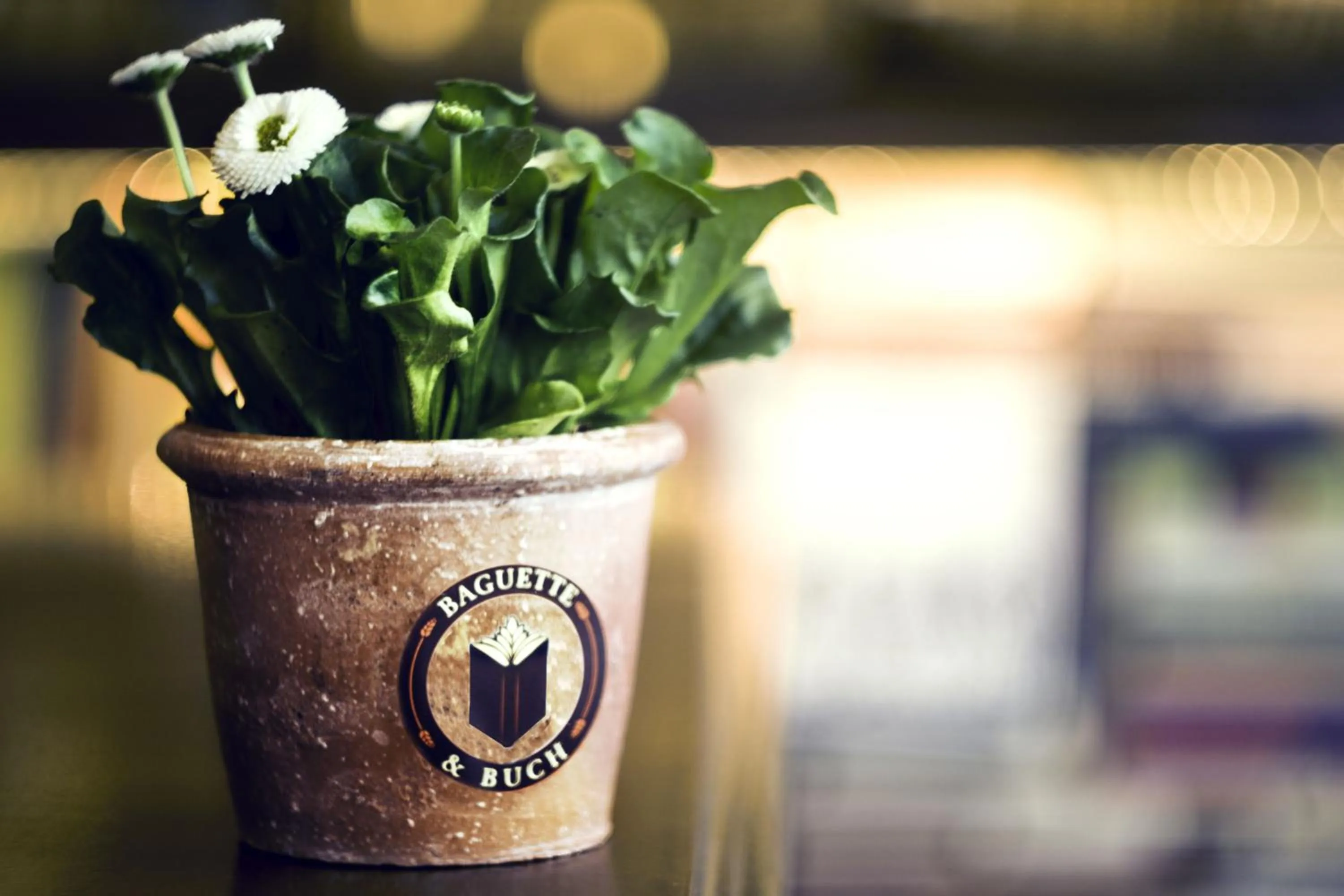 Patio in Hotel Bett und Buch