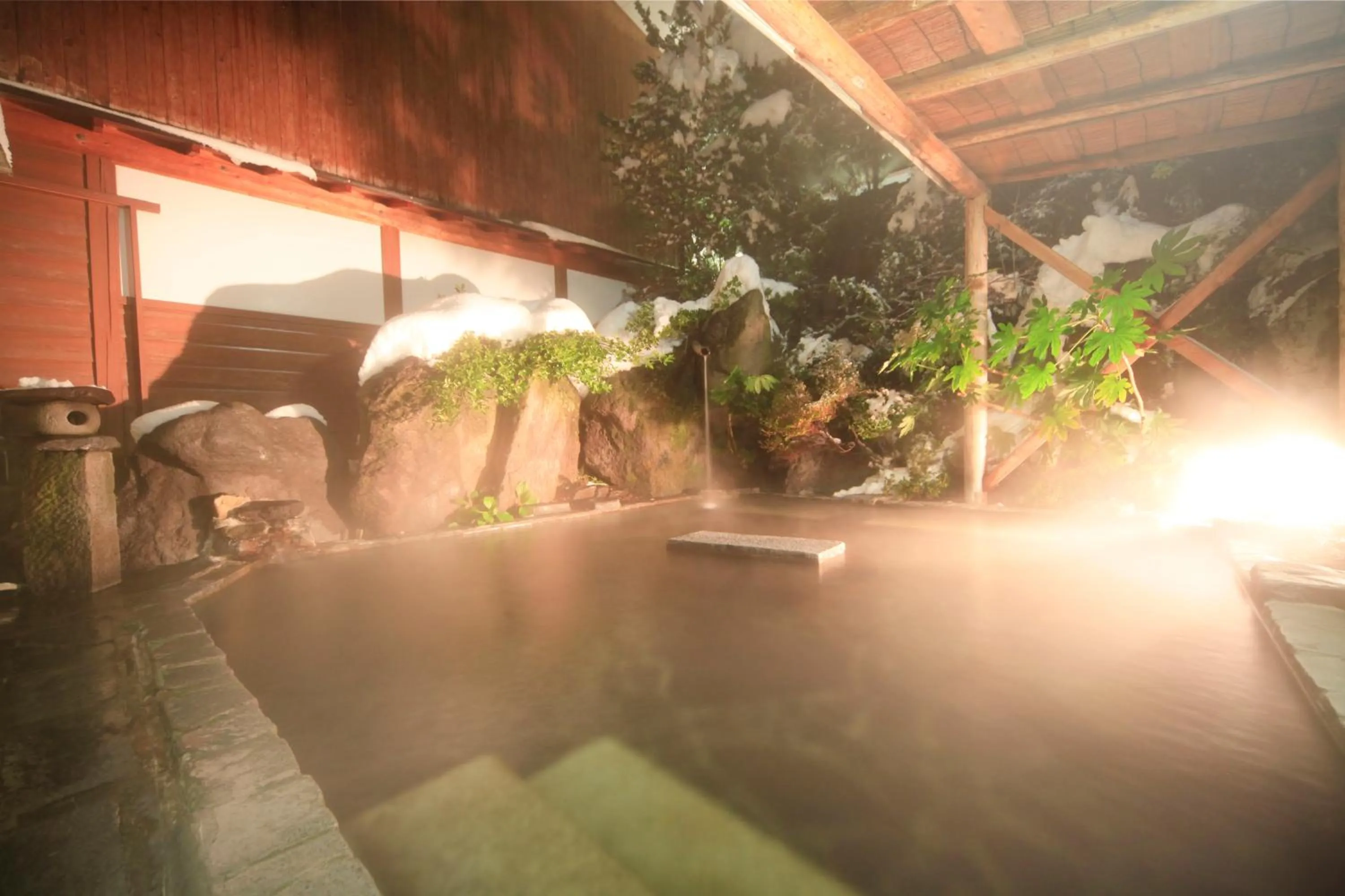 Hot Spring Bath in Yudanaka Seifuso