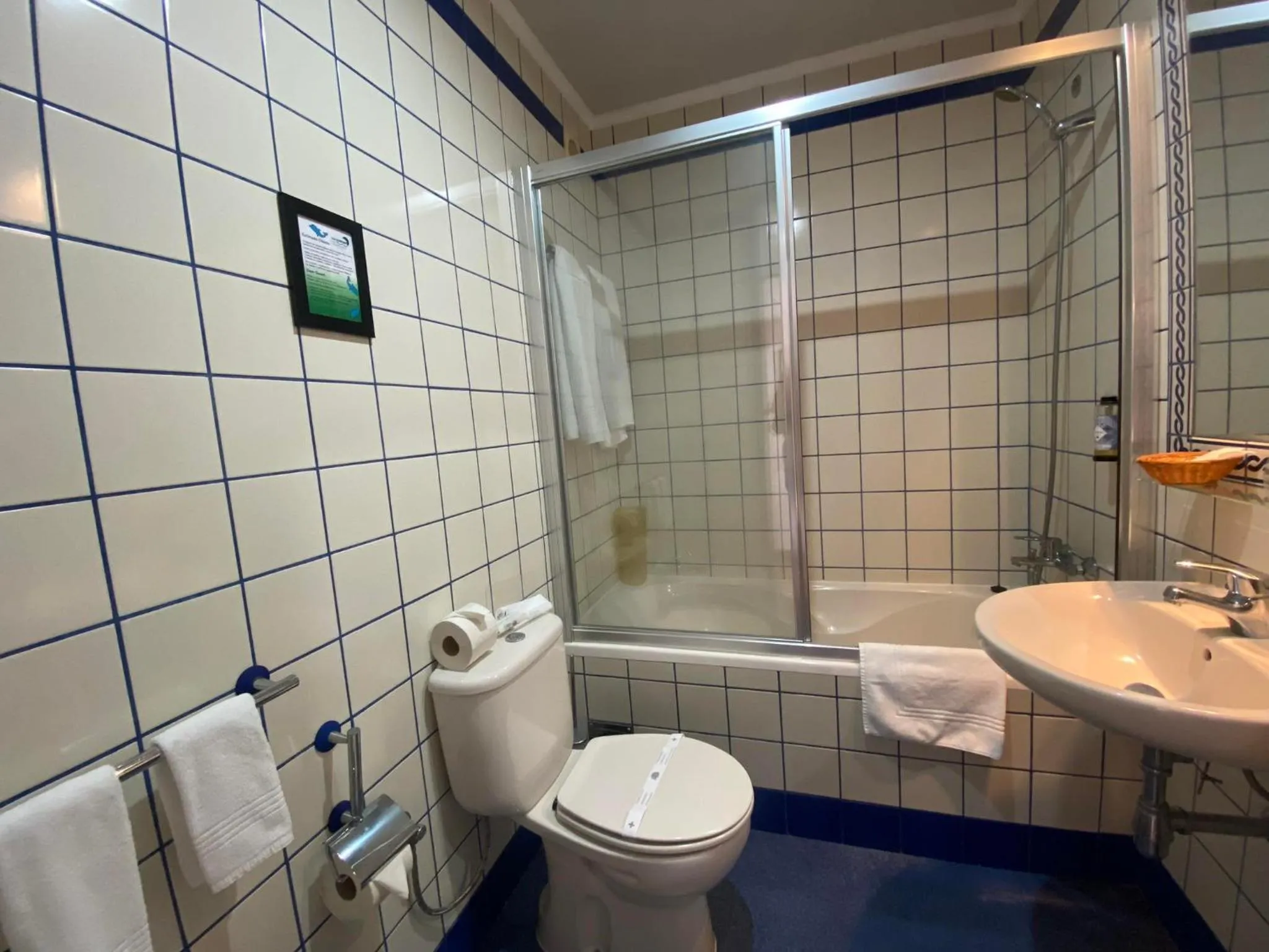 Toilet in Apartamentos Turisticos Verdemar