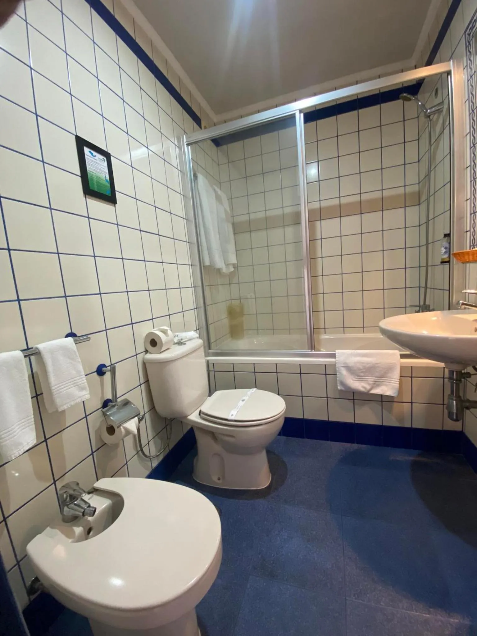 Toilet in Apartamentos Turisticos Verdemar