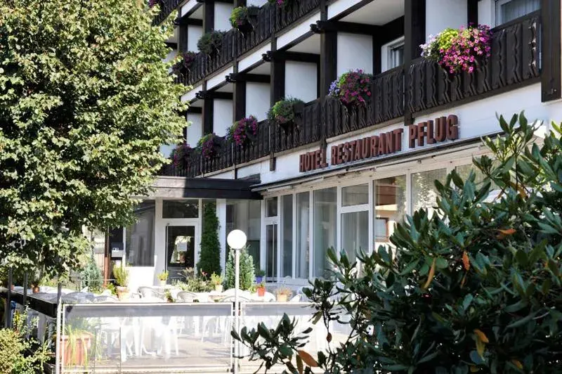 Facade/entrance in Hotel Pflug Facade/entrance in Hotel Pflug