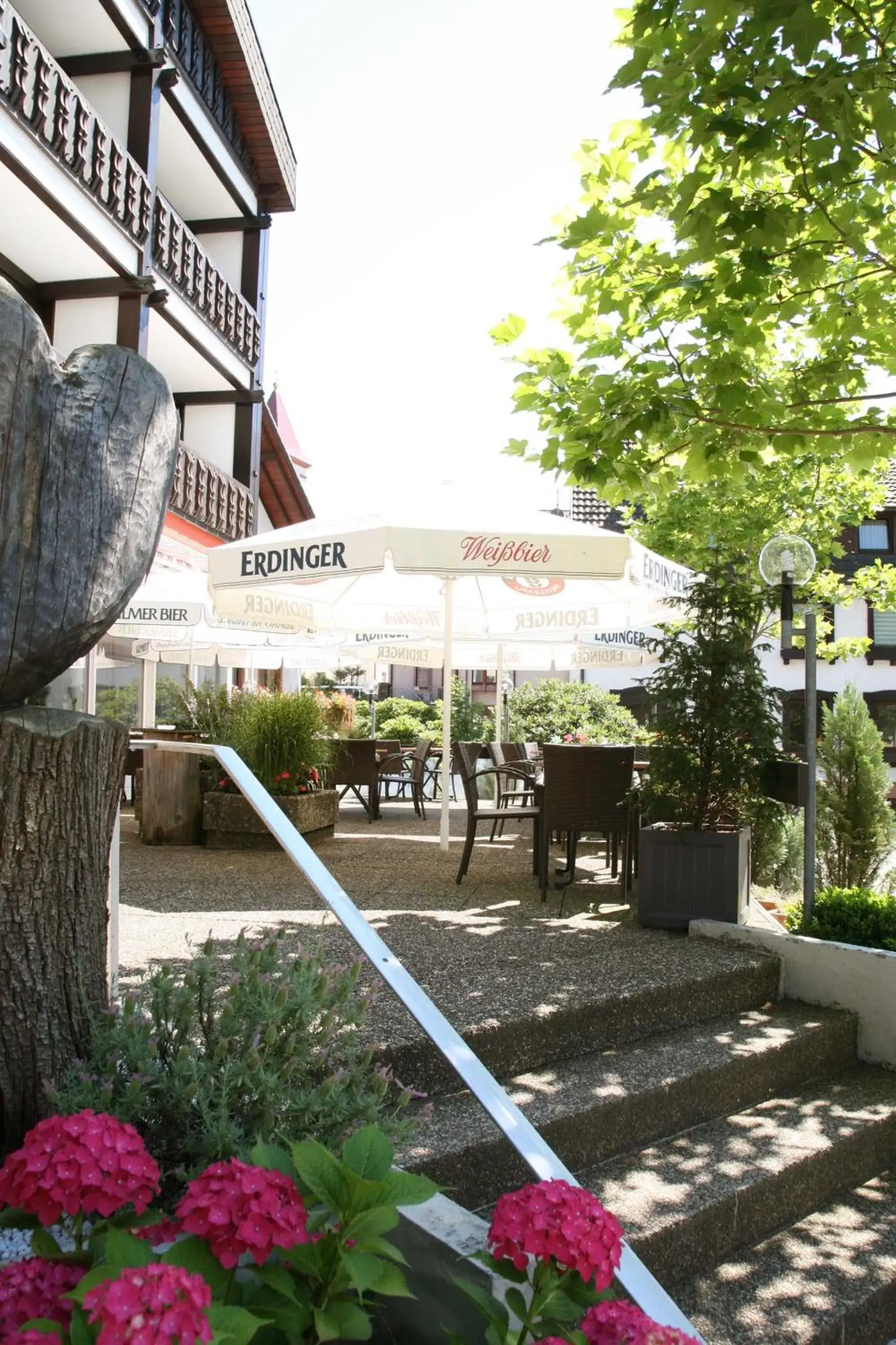 Garden view in Hotel Pflug Garden view in Hotel Pflug