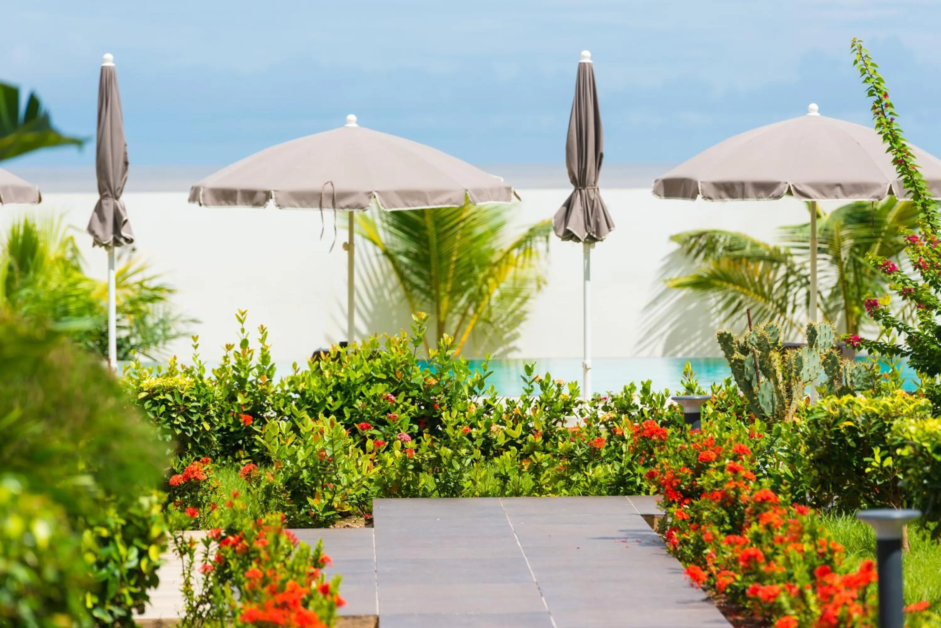 Swimming pool in ONOMO Hotel Conakry