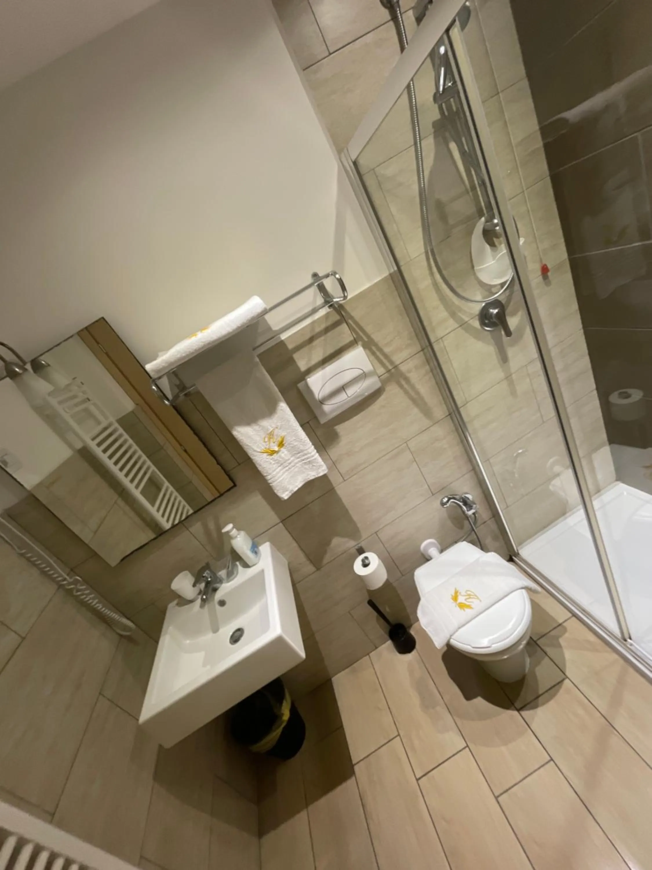 Bathroom in Hotel San Biagio