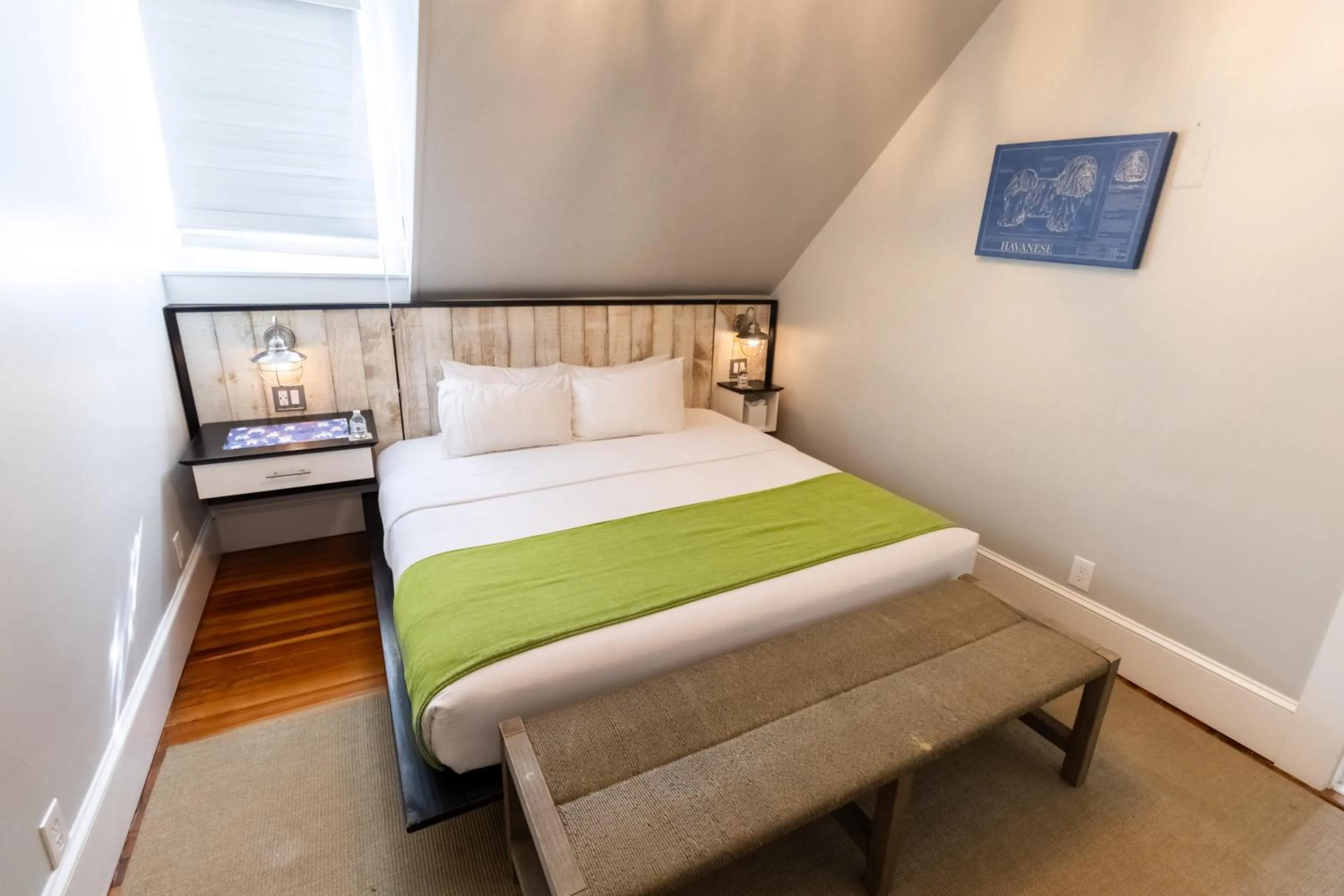 Bed in Paws on Pelham