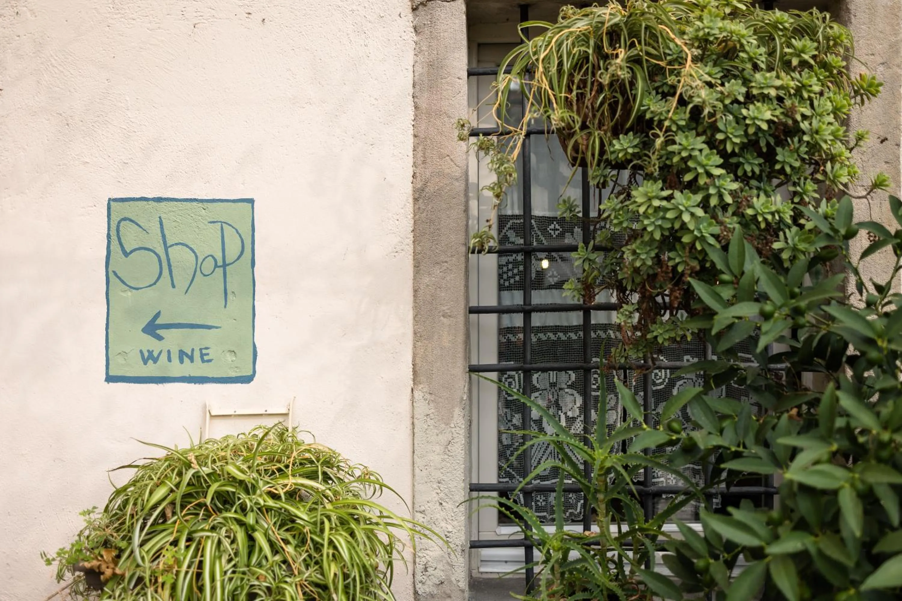 Garden in B&B Corte del Mincio