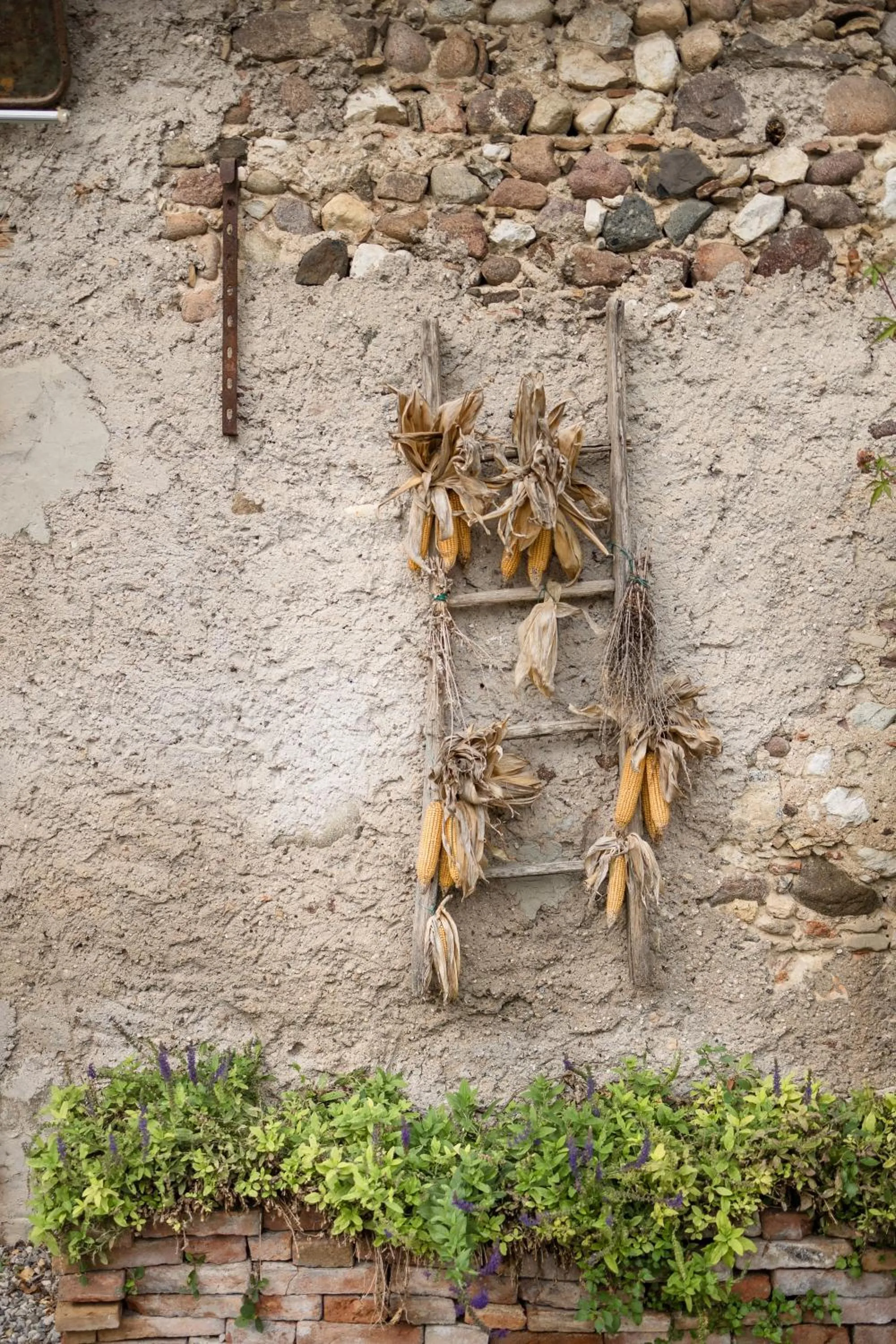 Day in B&B Corte del Mincio