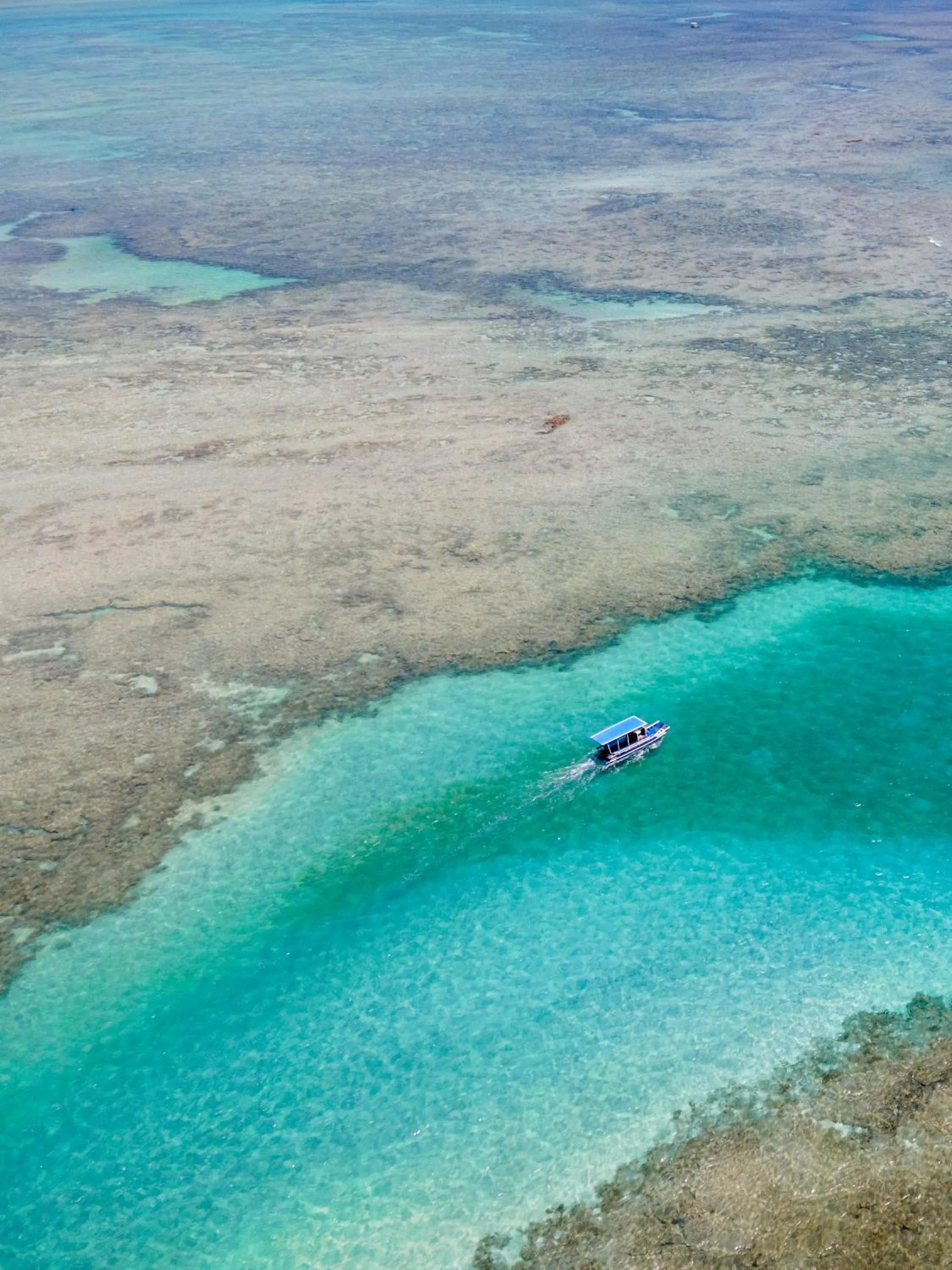 Natural landscape in Pedras Do Patacho Hotel Boutique Experience