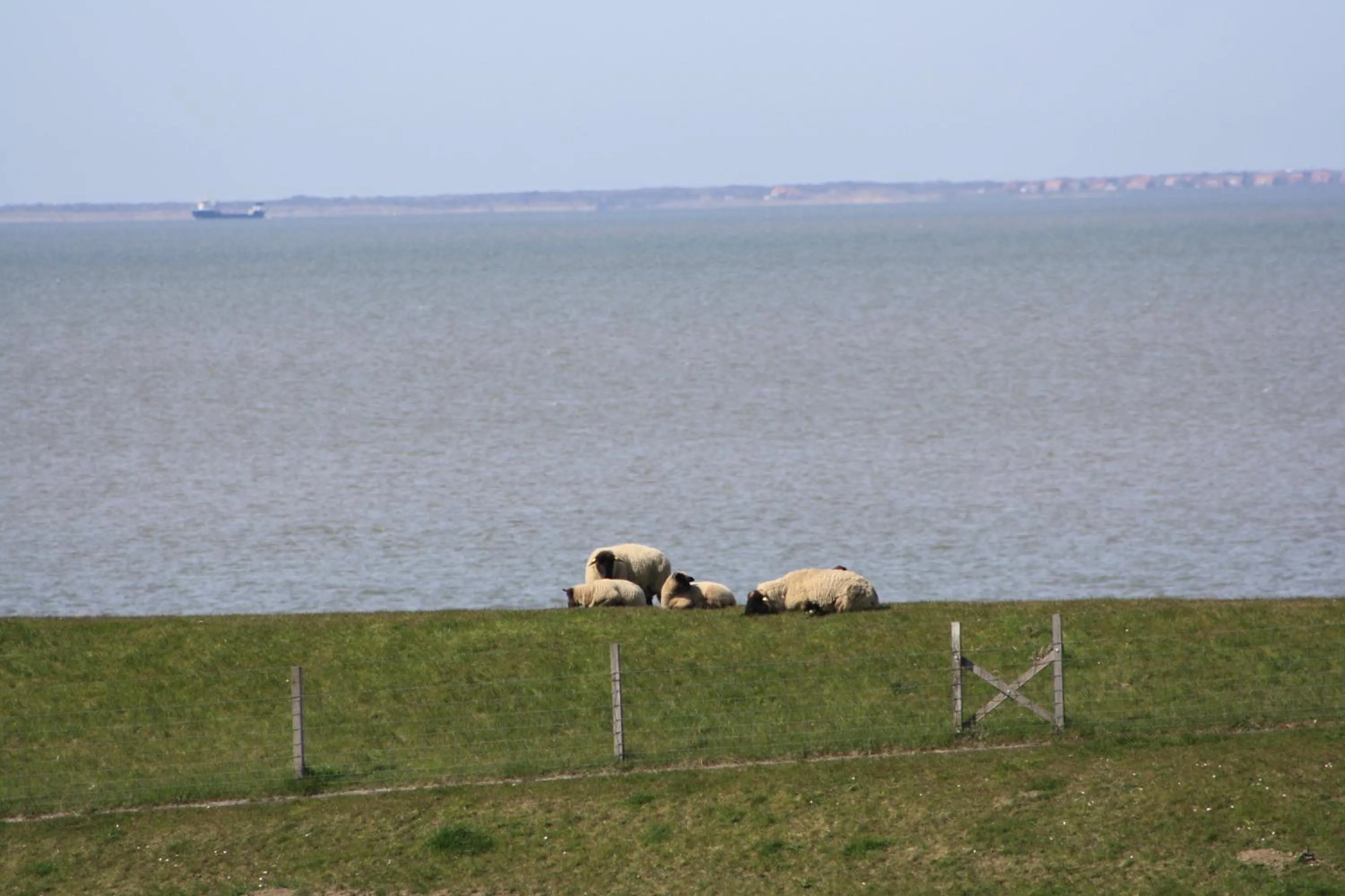 Gasthof Großer Krug