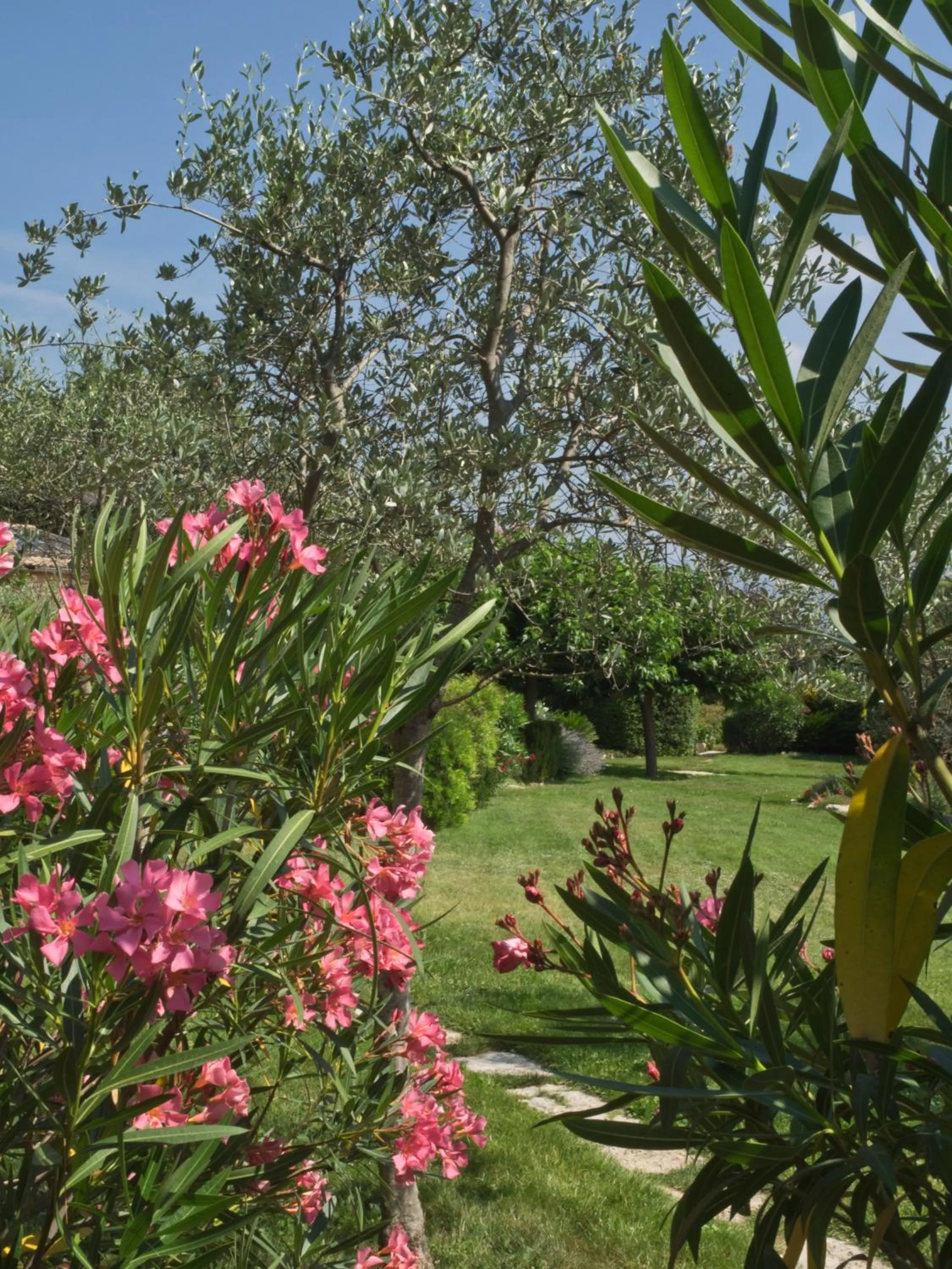 Garden in La Bégude Du Pascouren