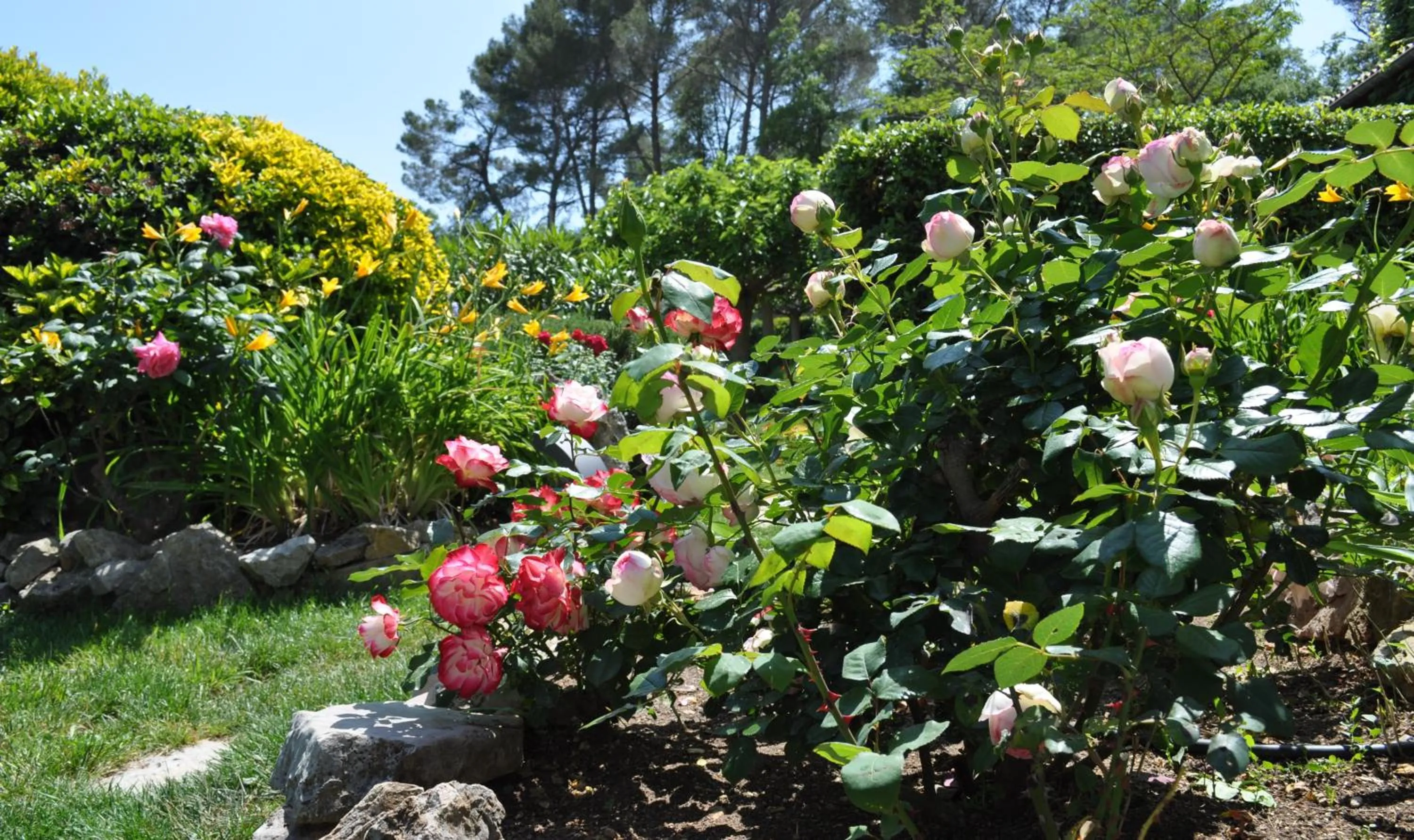 Garden in La Bégude Du Pascouren