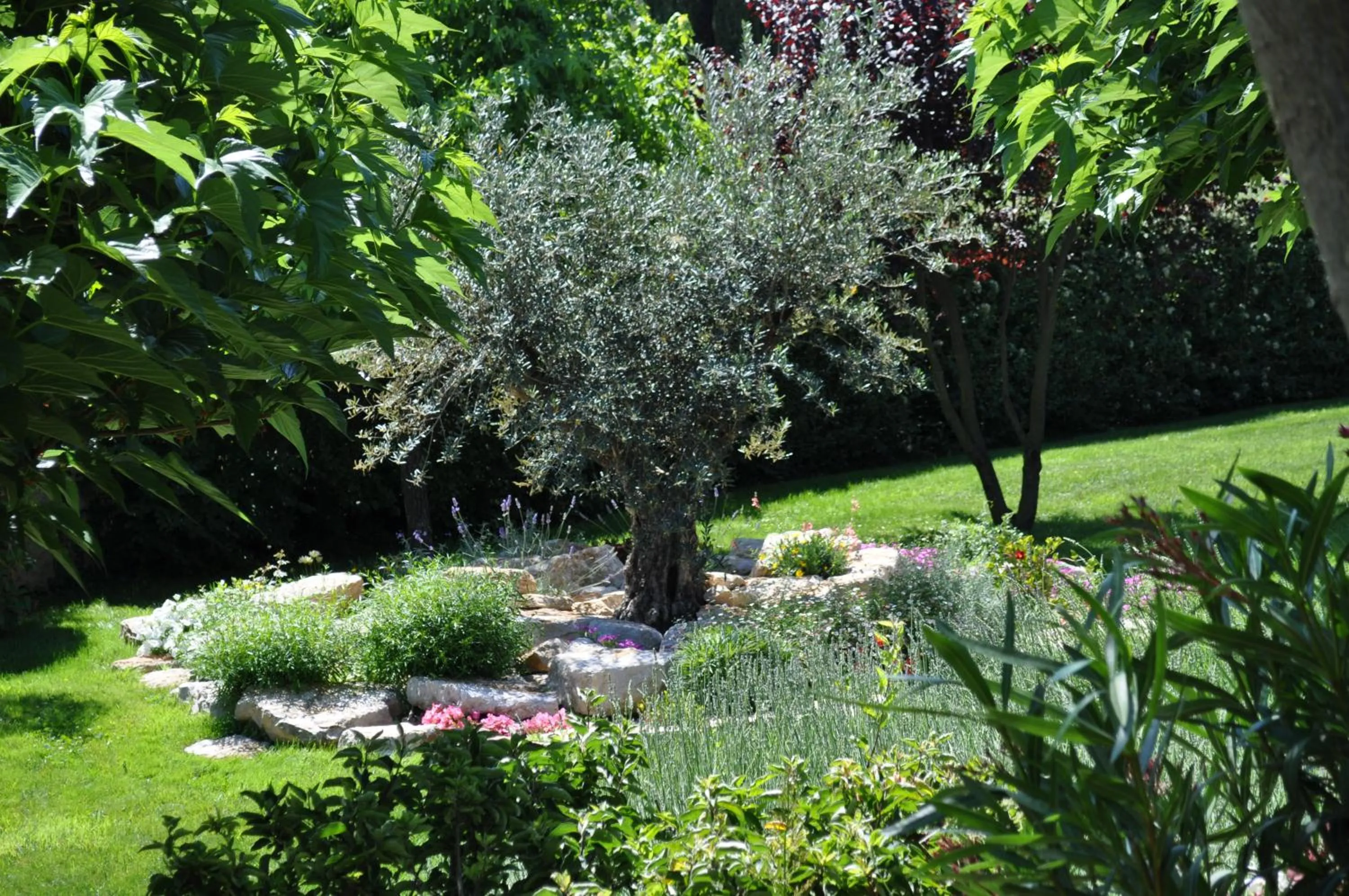 Garden in La Bégude Du Pascouren