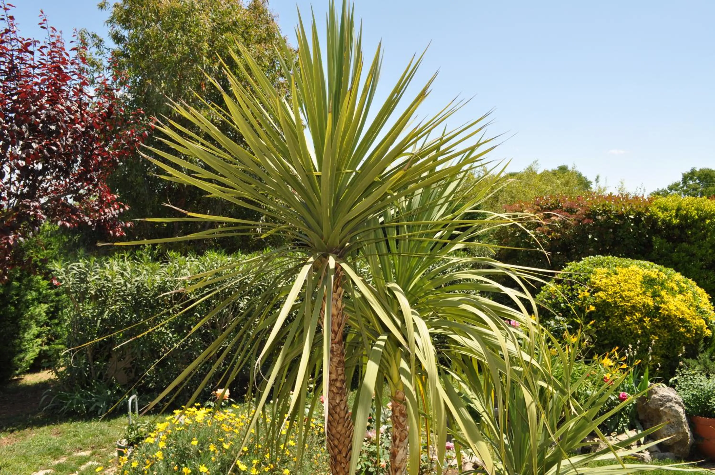 Garden in La Bégude Du Pascouren