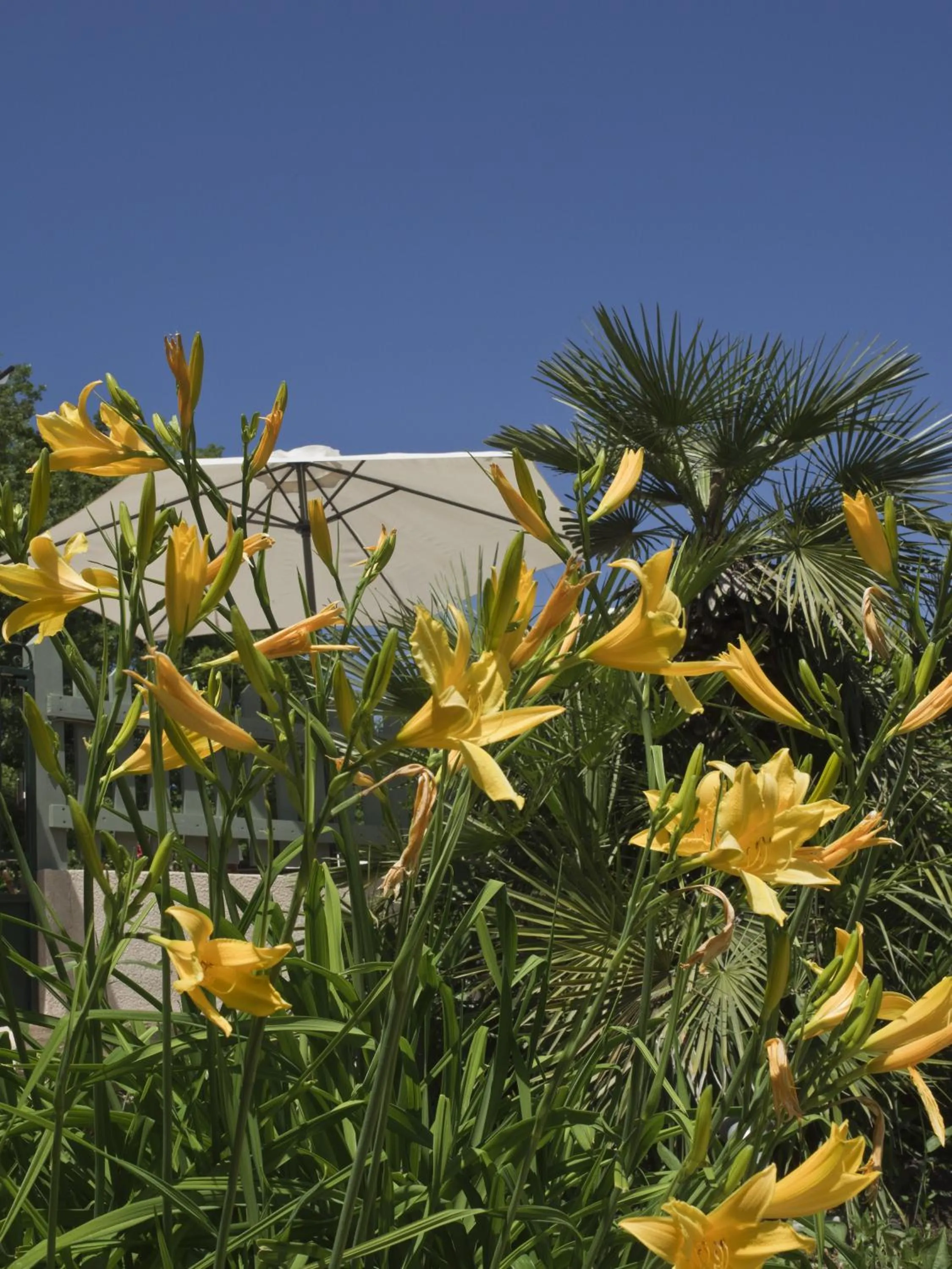 Garden view in La Bégude Du Pascouren